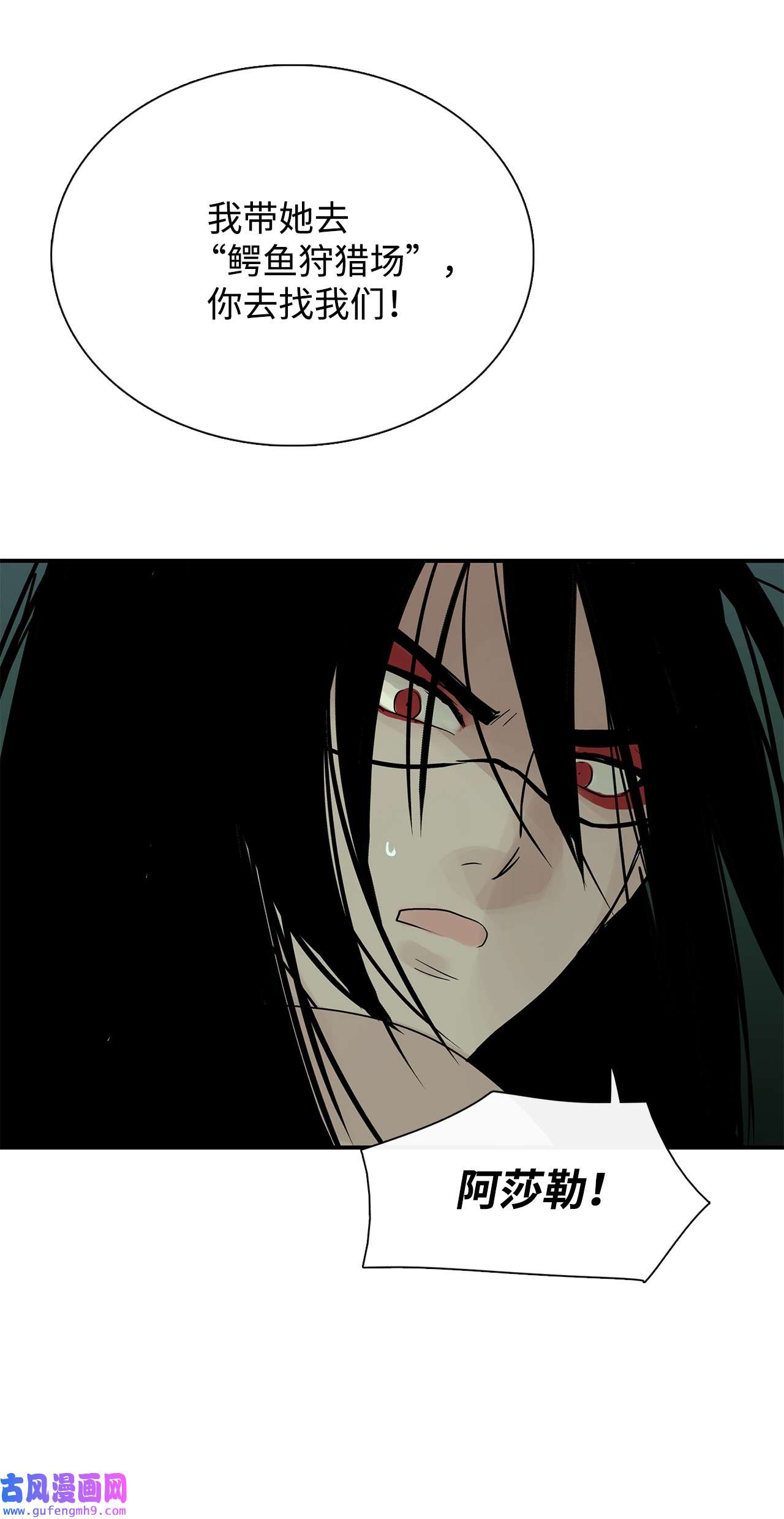 图腾领域35 猫咪