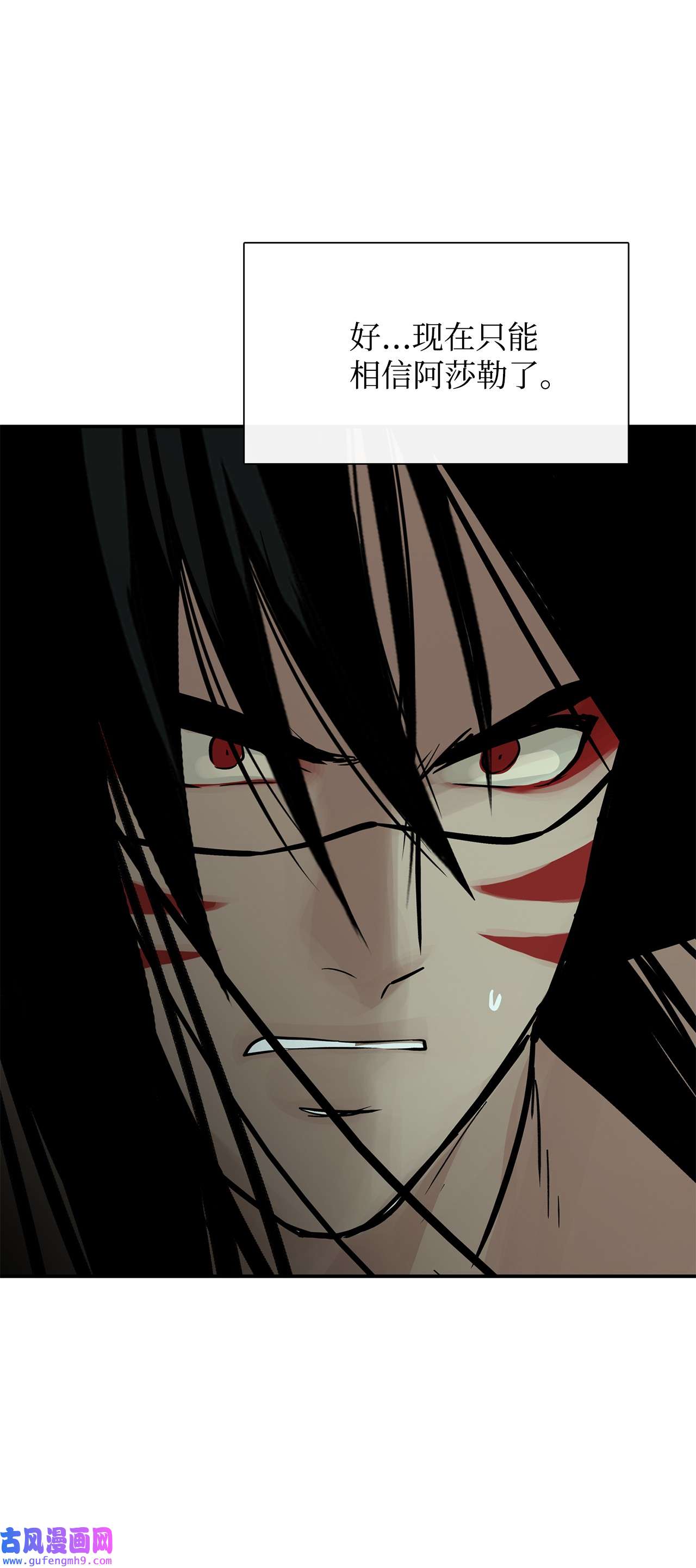 图腾领域35 猫咪