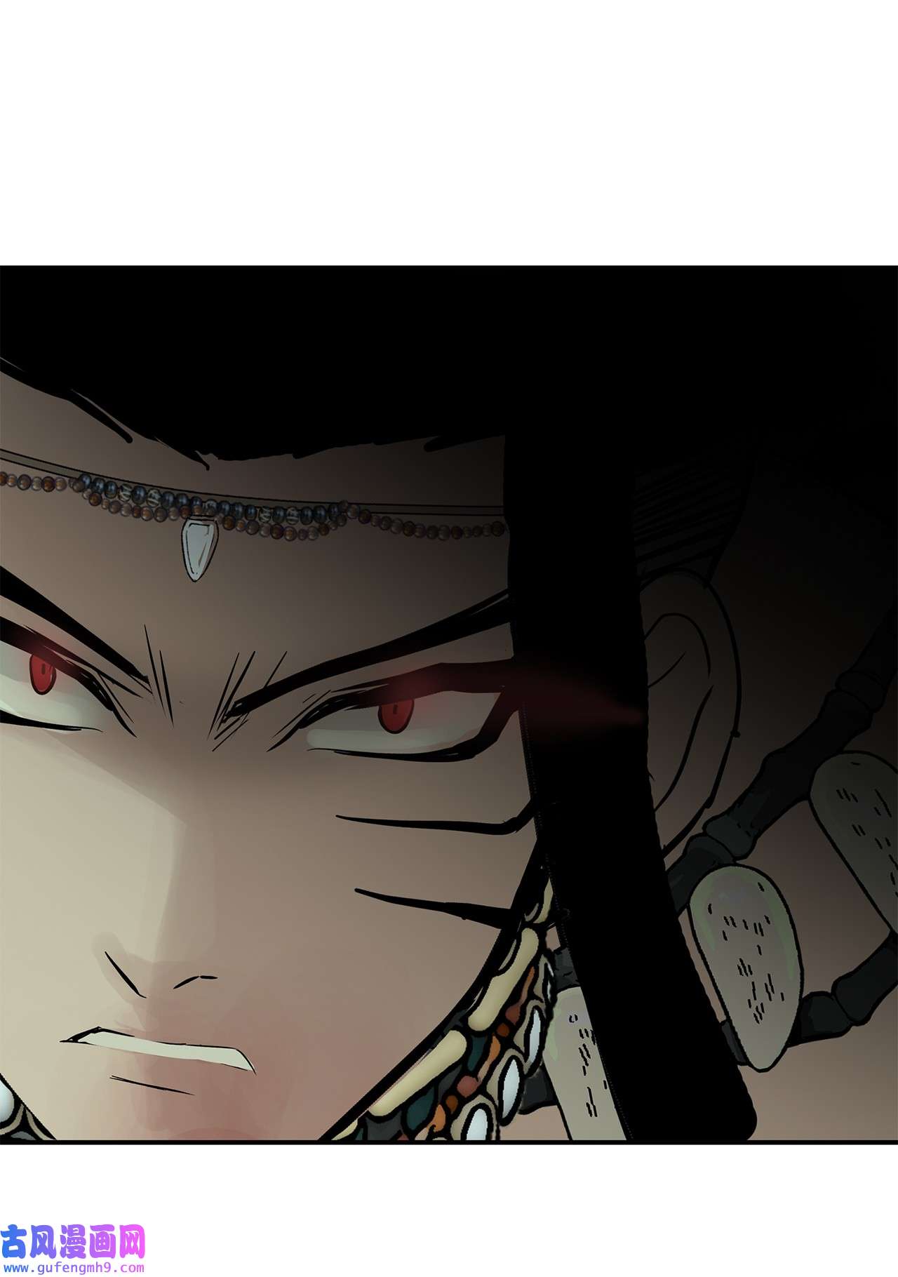 图腾领域35 猫咪