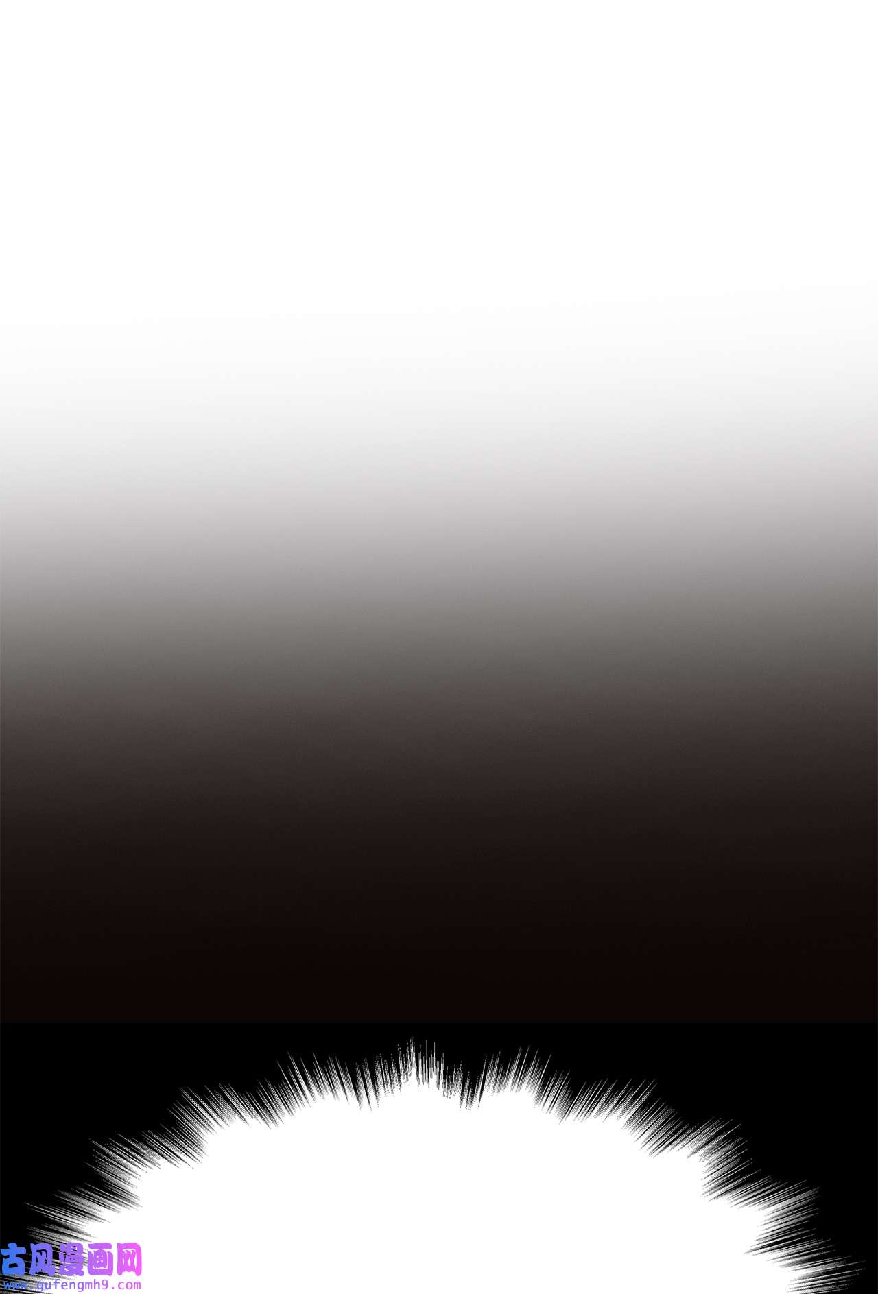 图腾领域35 猫咪