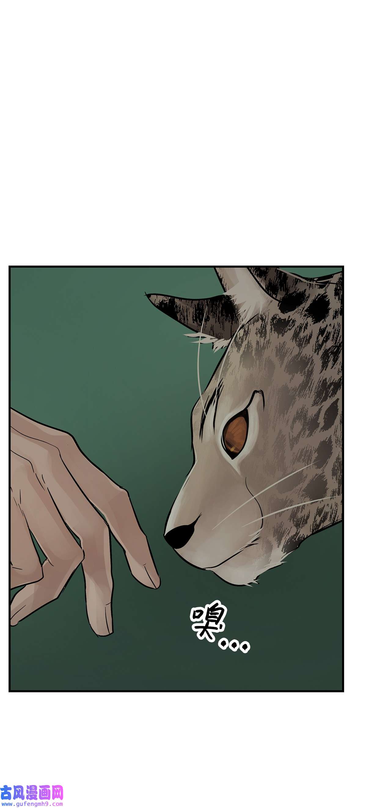 图腾领域35 猫咪