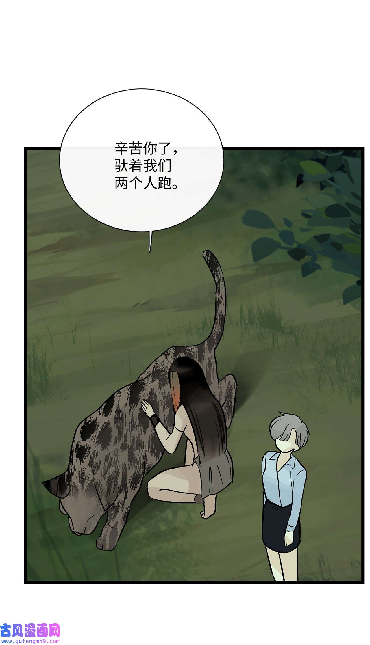 图腾领域35 猫咪