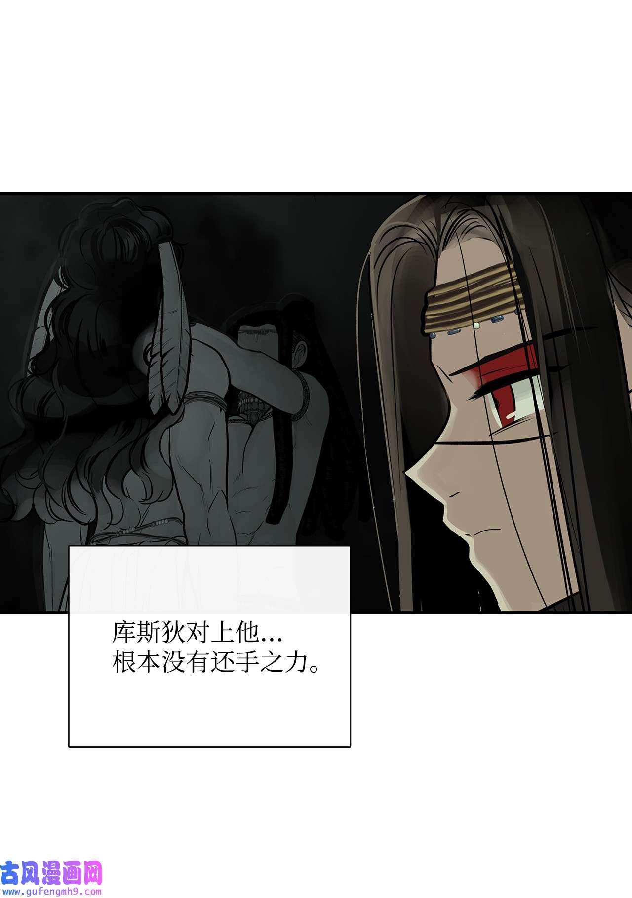 图腾领域35 猫咪