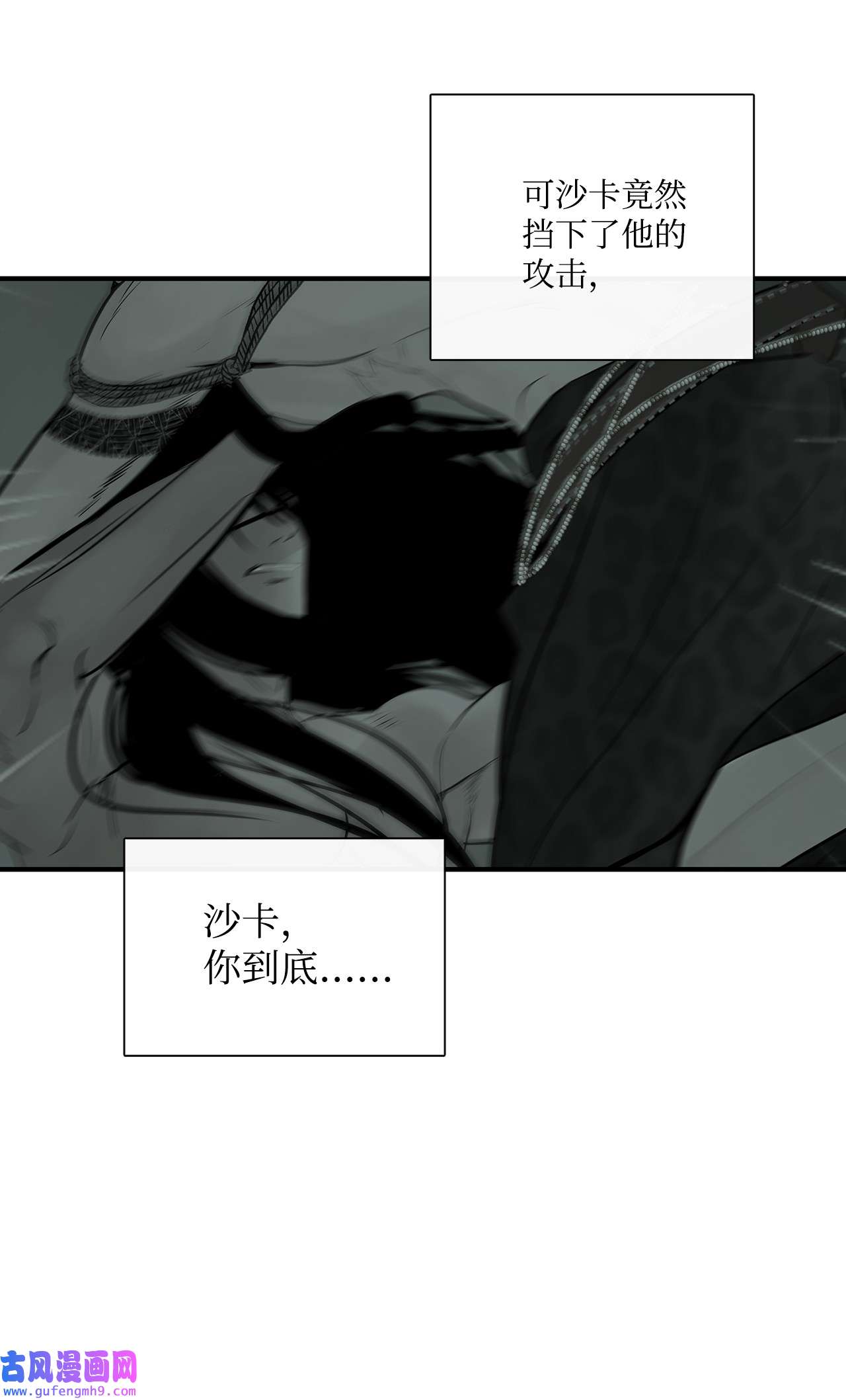 图腾领域35 猫咪