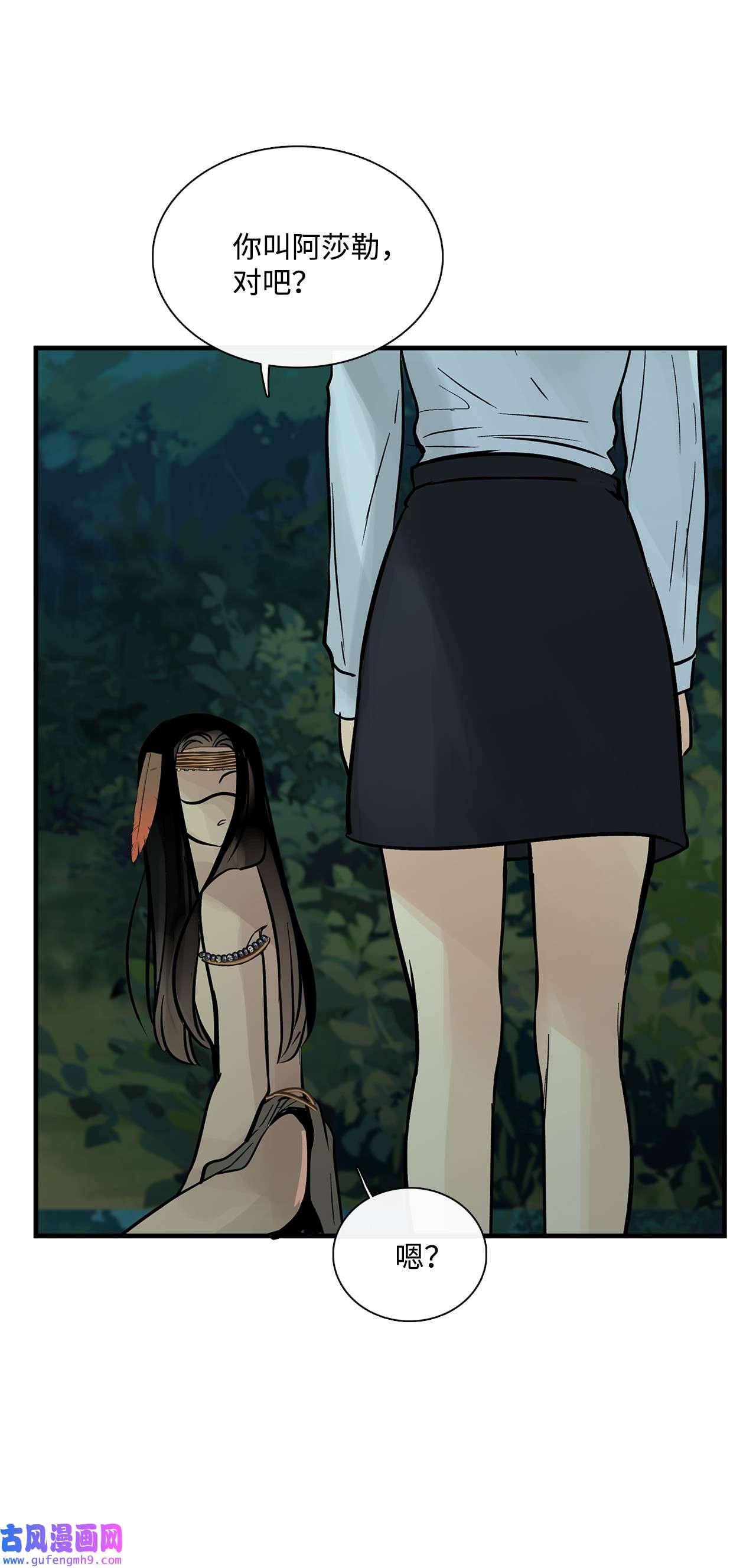 图腾领域35 猫咪