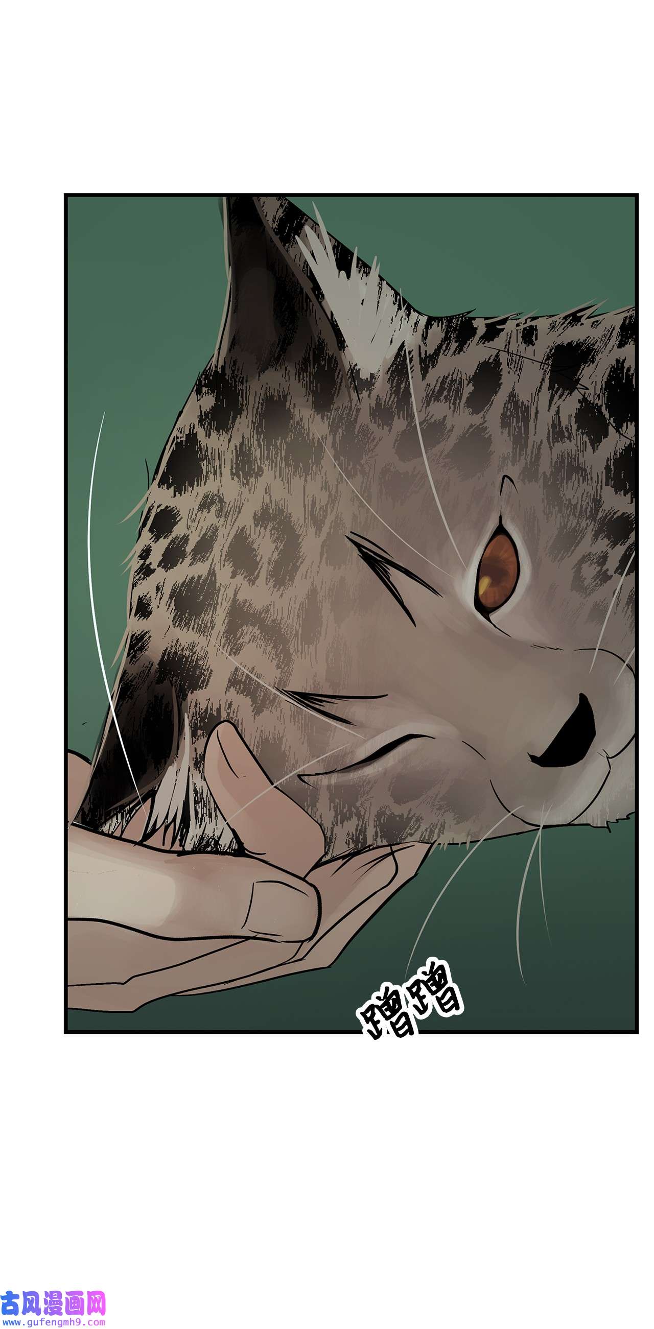 图腾领域35 猫咪