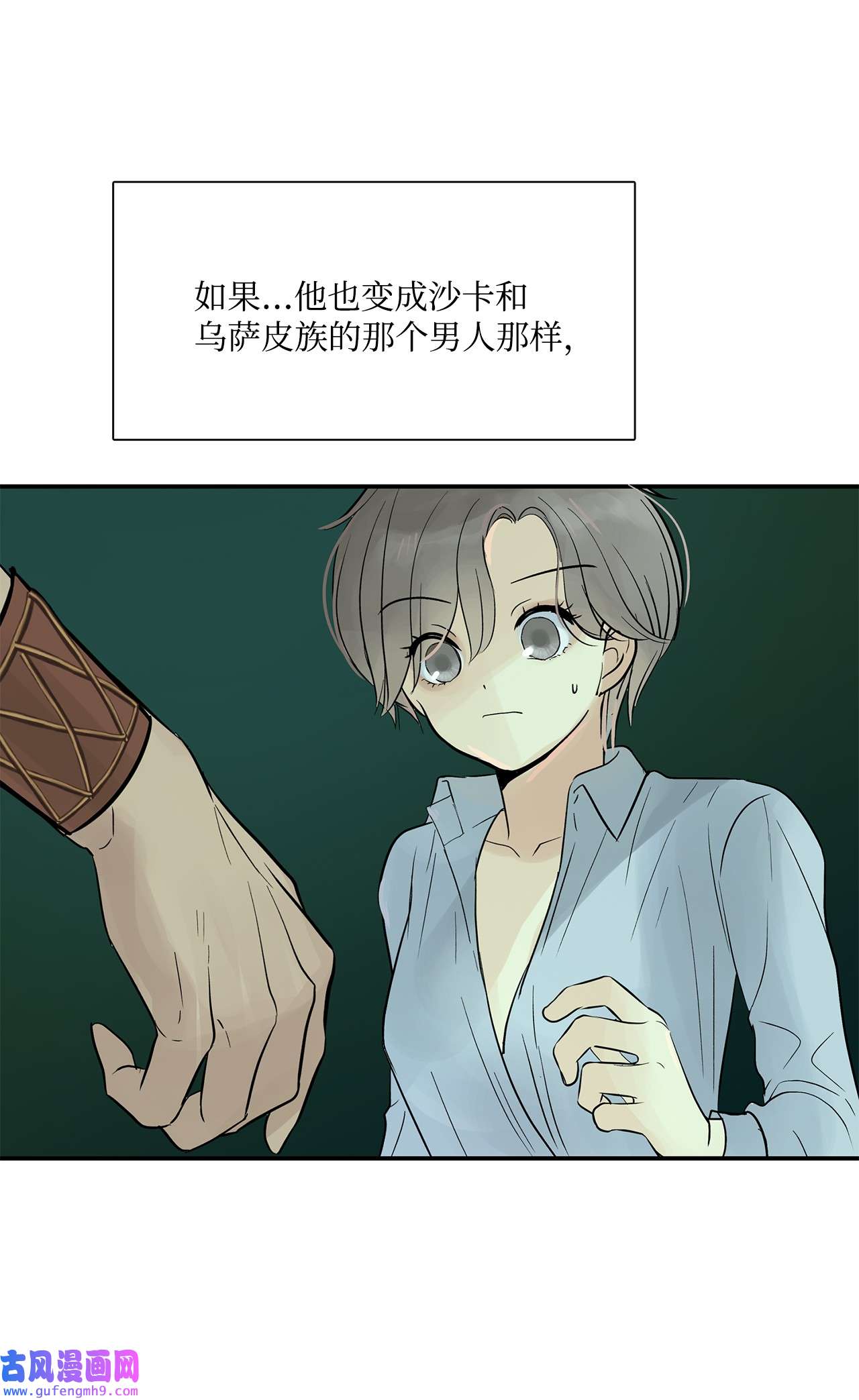 图腾领域35 猫咪