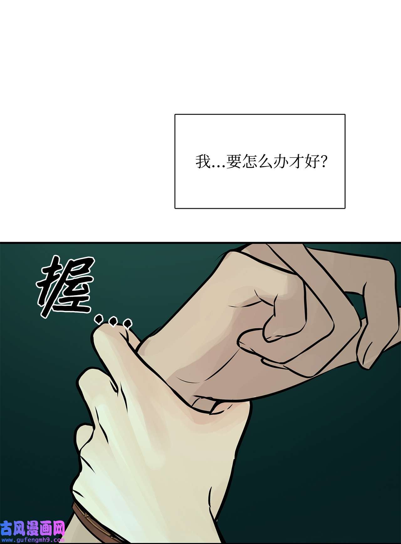 图腾领域35 猫咪