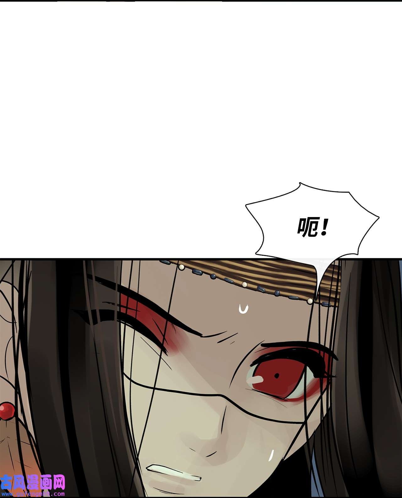 图腾领域35 猫咪