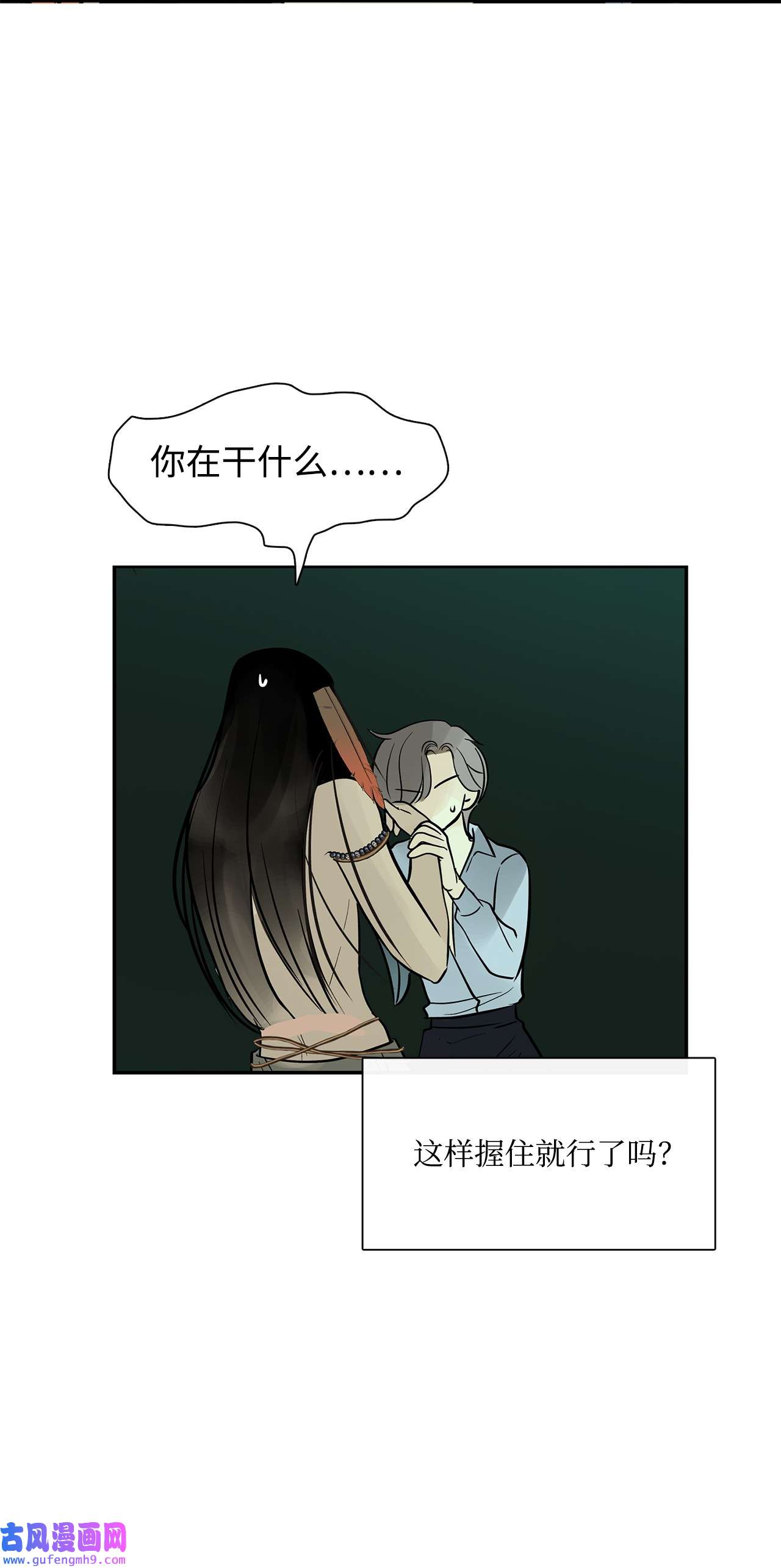 图腾领域35 猫咪