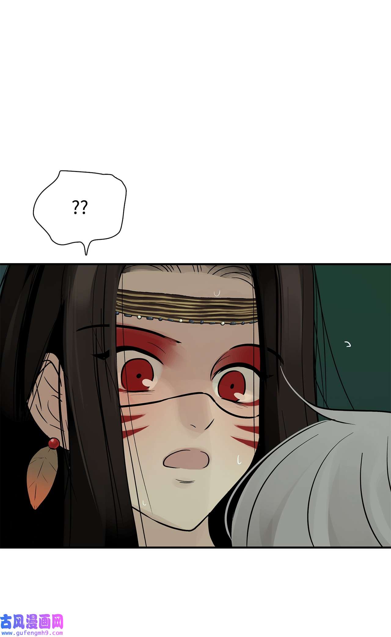 图腾领域35 猫咪