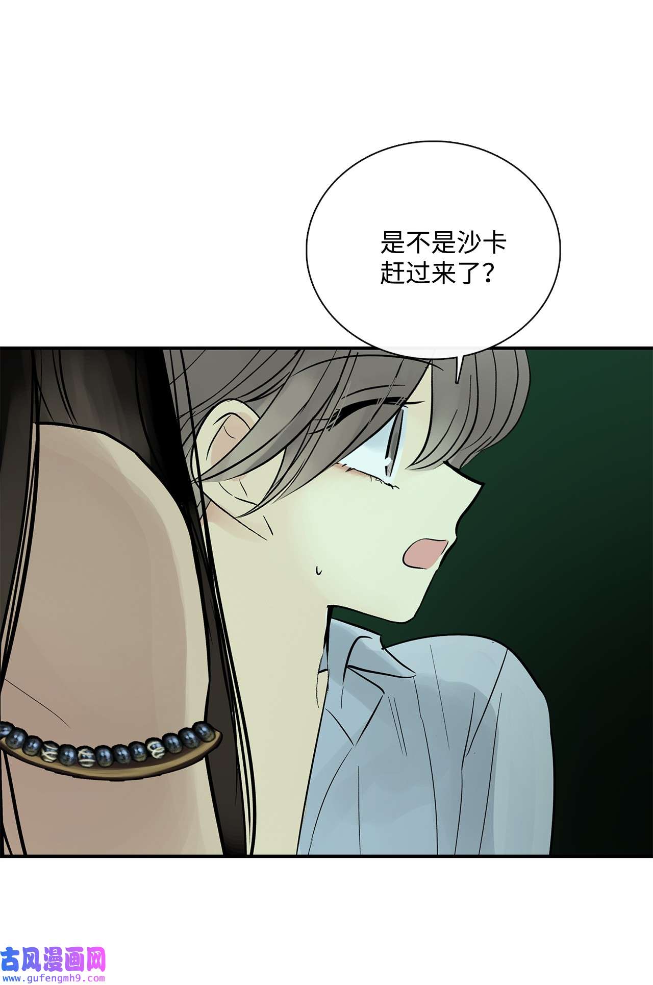 图腾领域35 猫咪