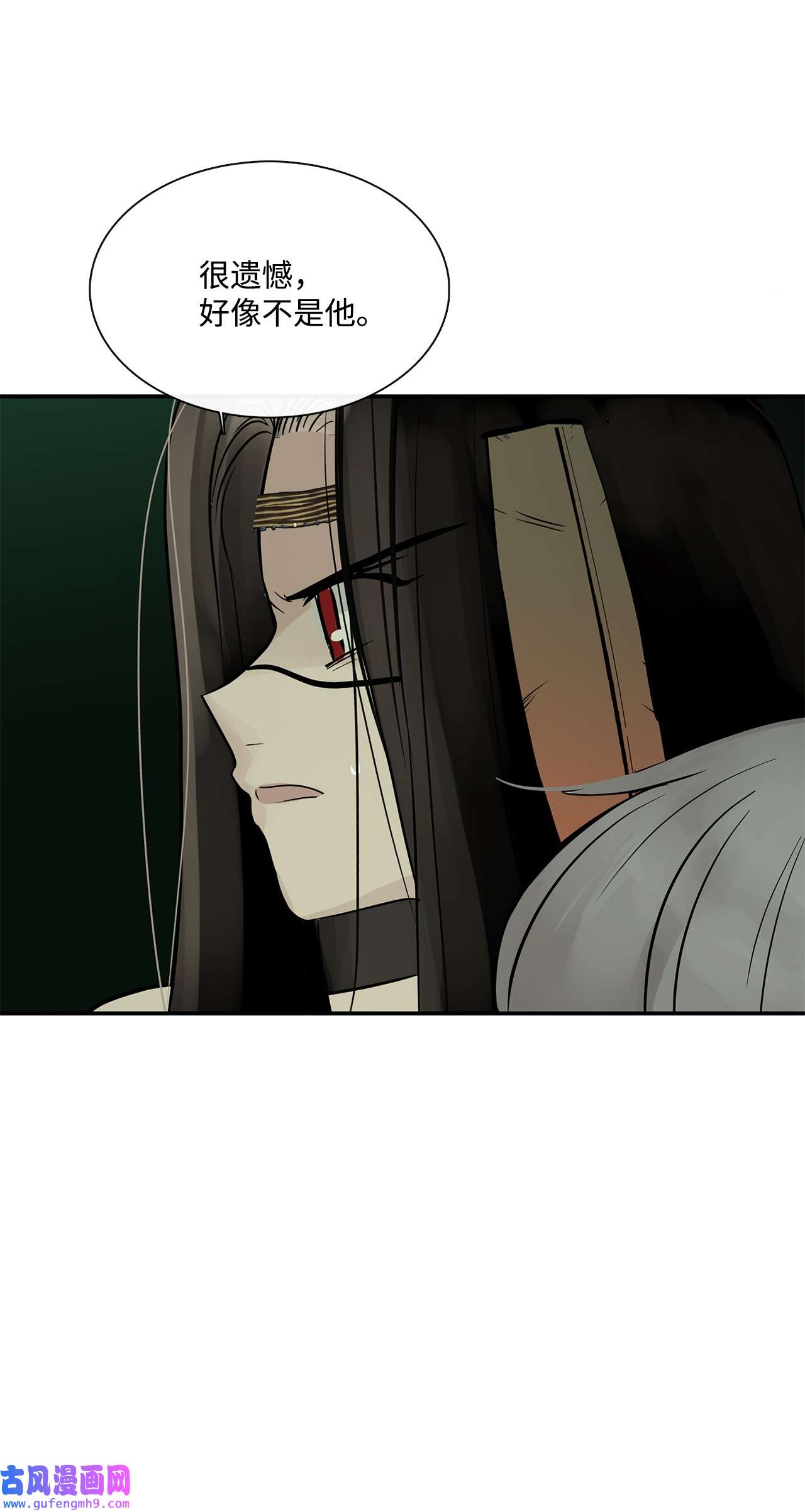 图腾领域35 猫咪