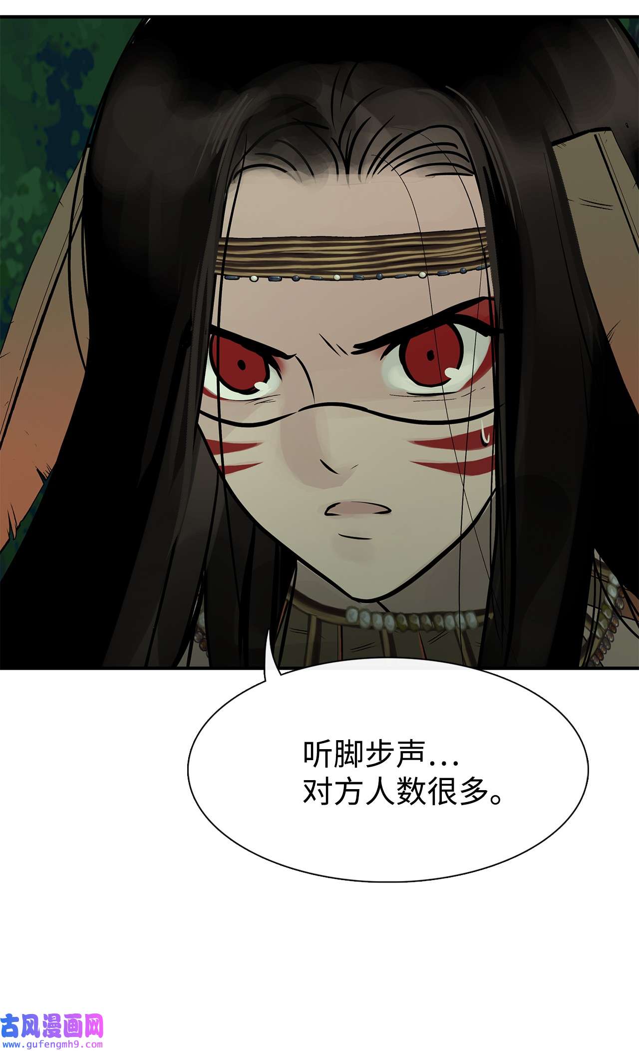 图腾领域35 猫咪