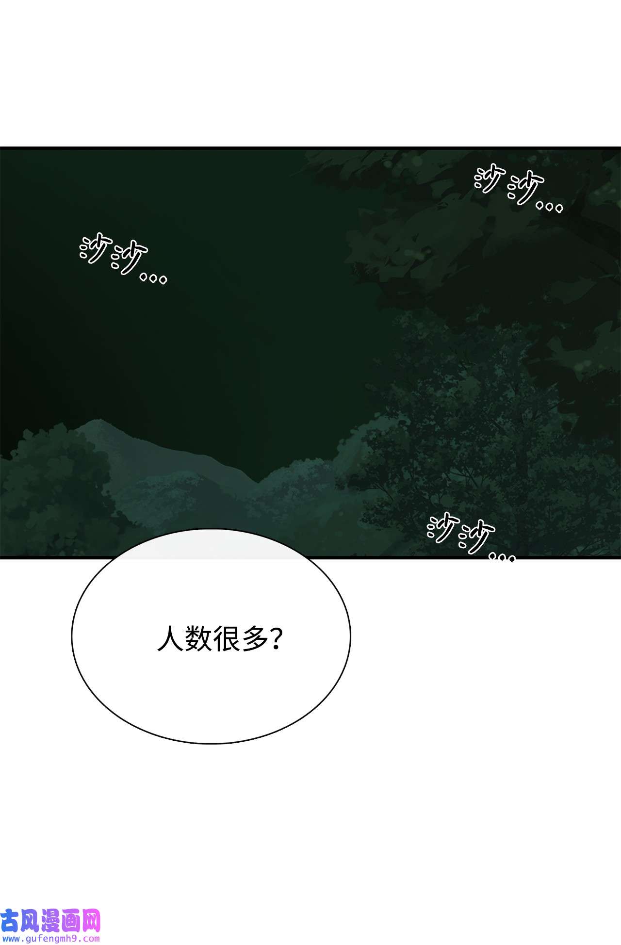 图腾领域35 猫咪