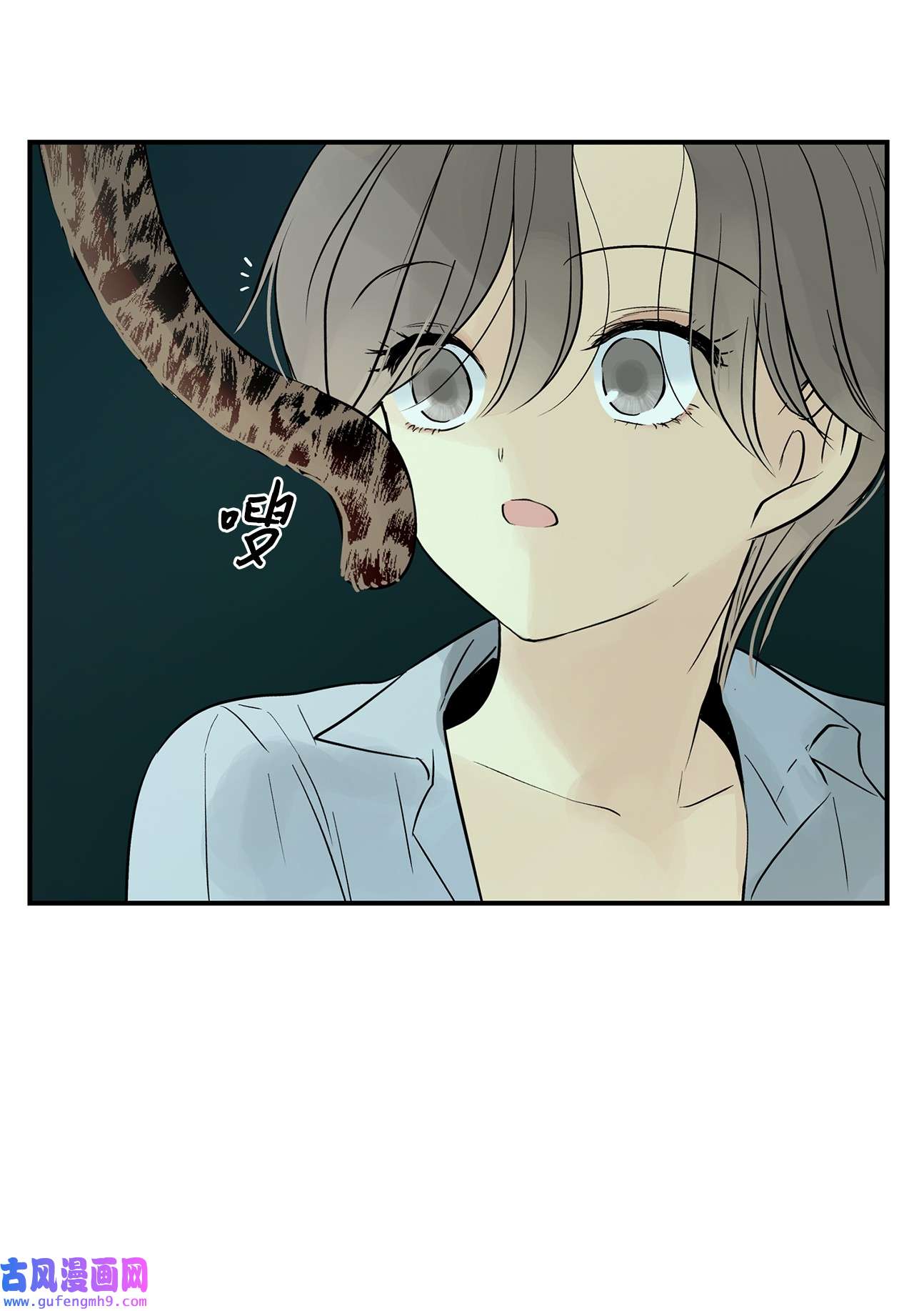 图腾领域36 外地人