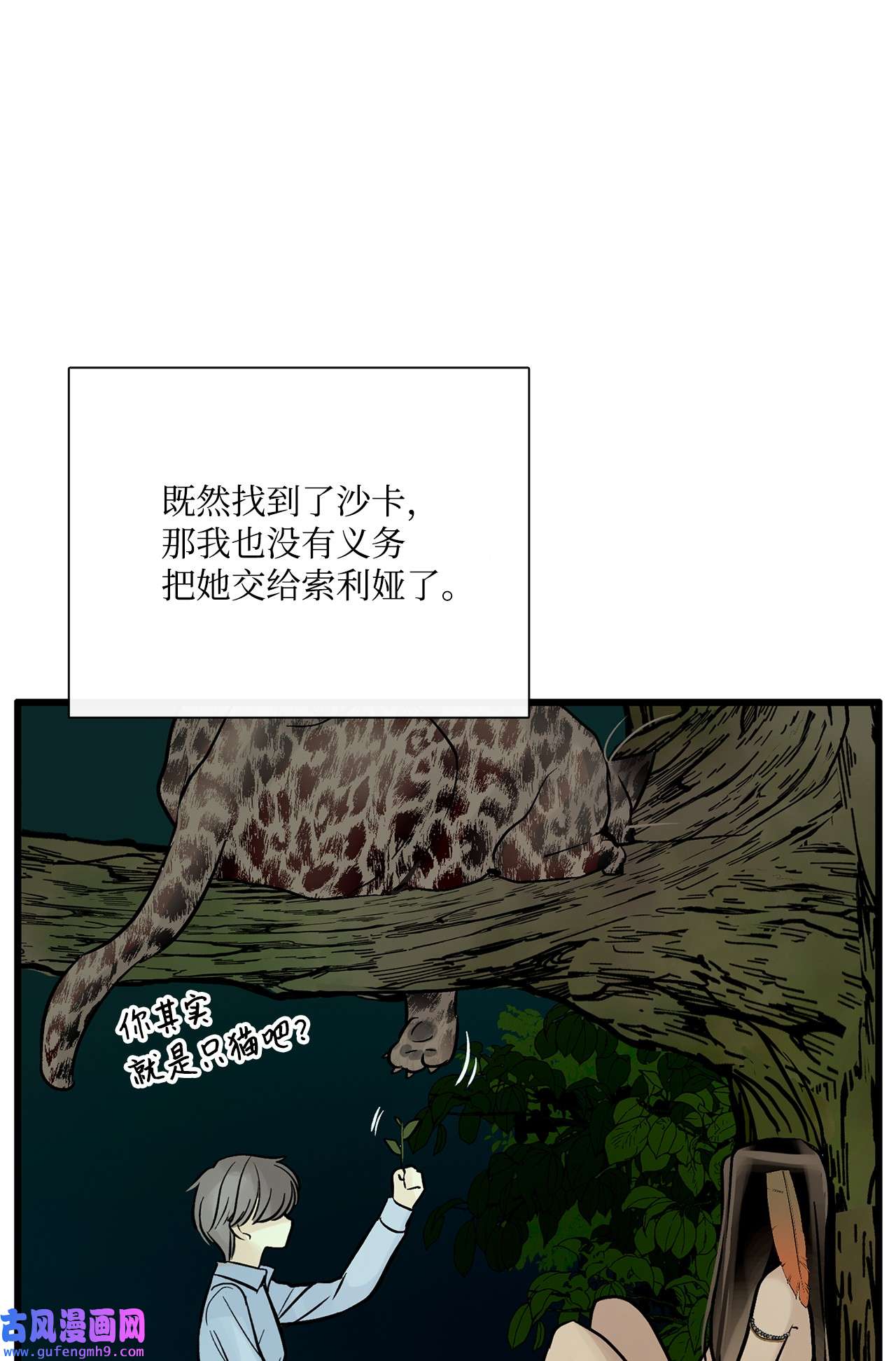 图腾领域36 外地人