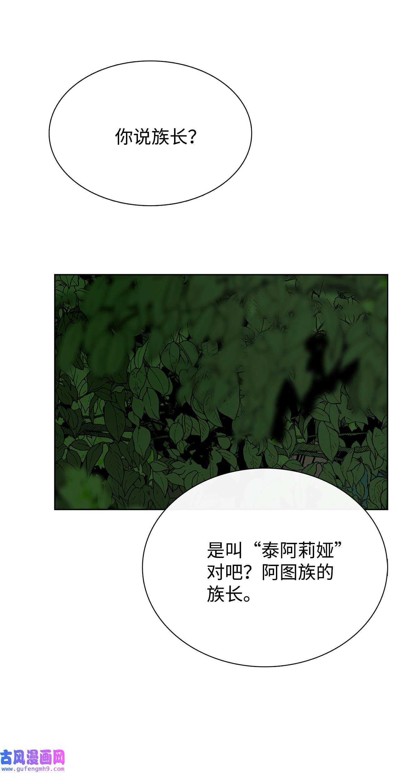 图腾领域36 外地人