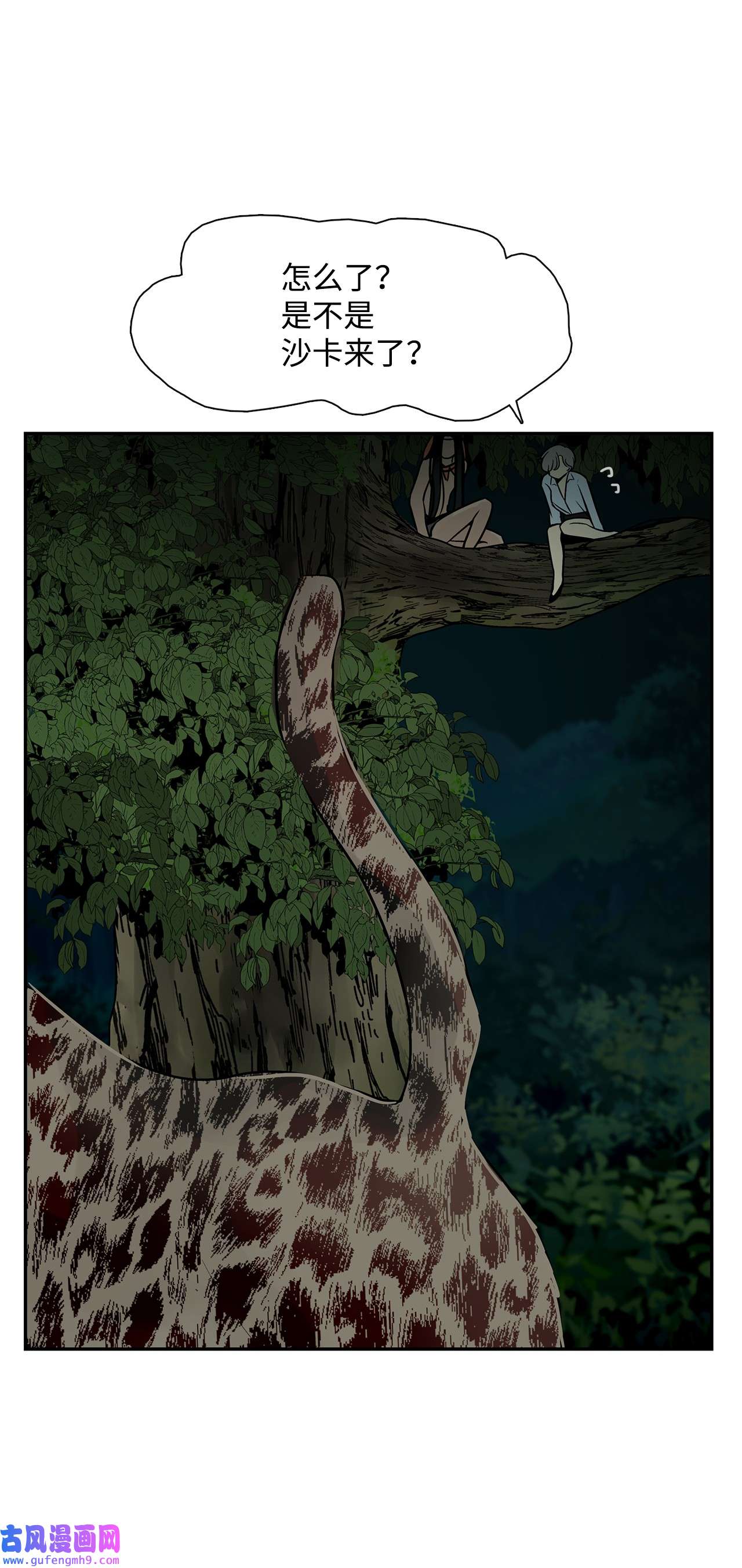 图腾领域36 外地人