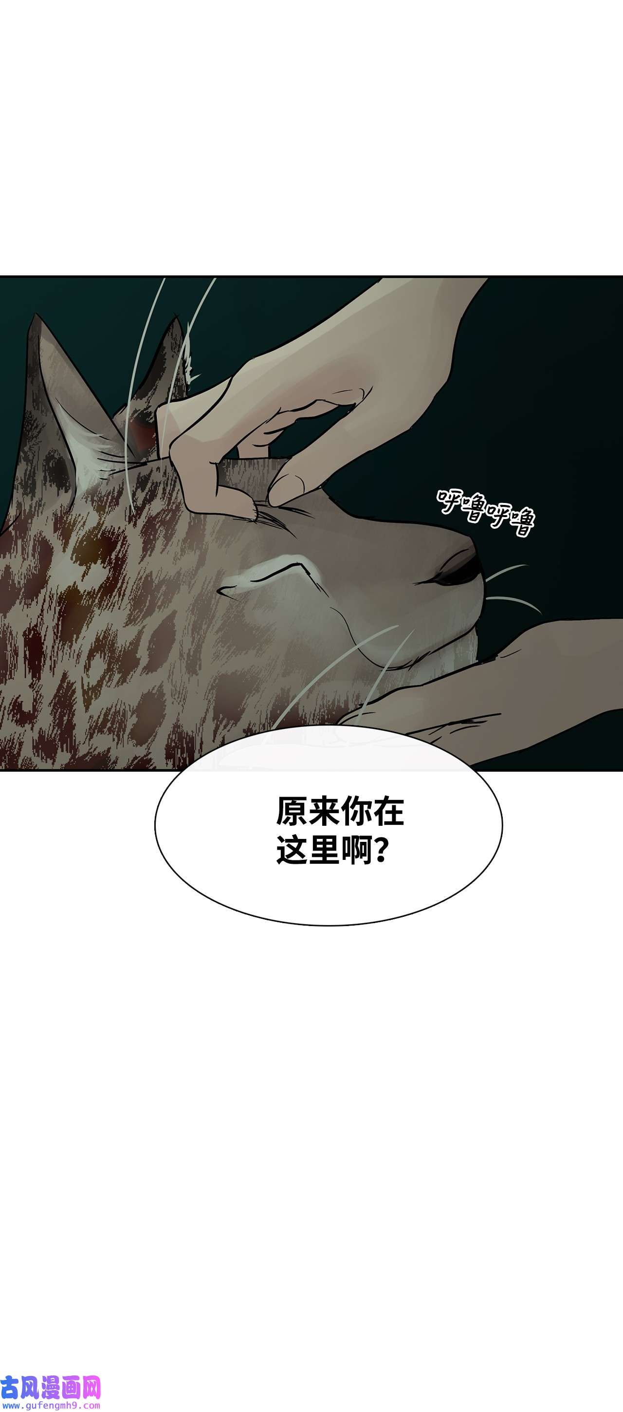 图腾领域36 外地人