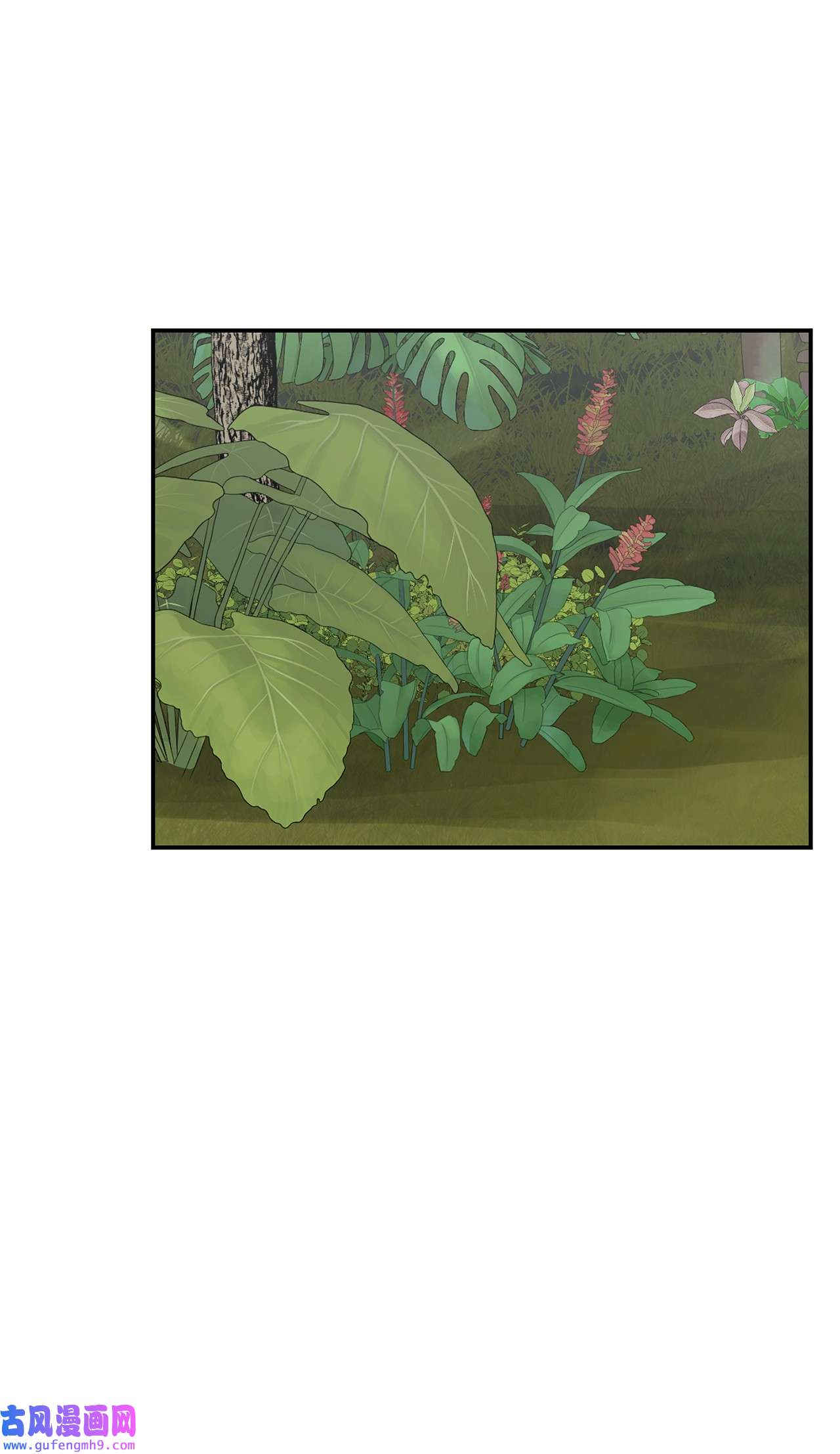 图腾领域36 外地人