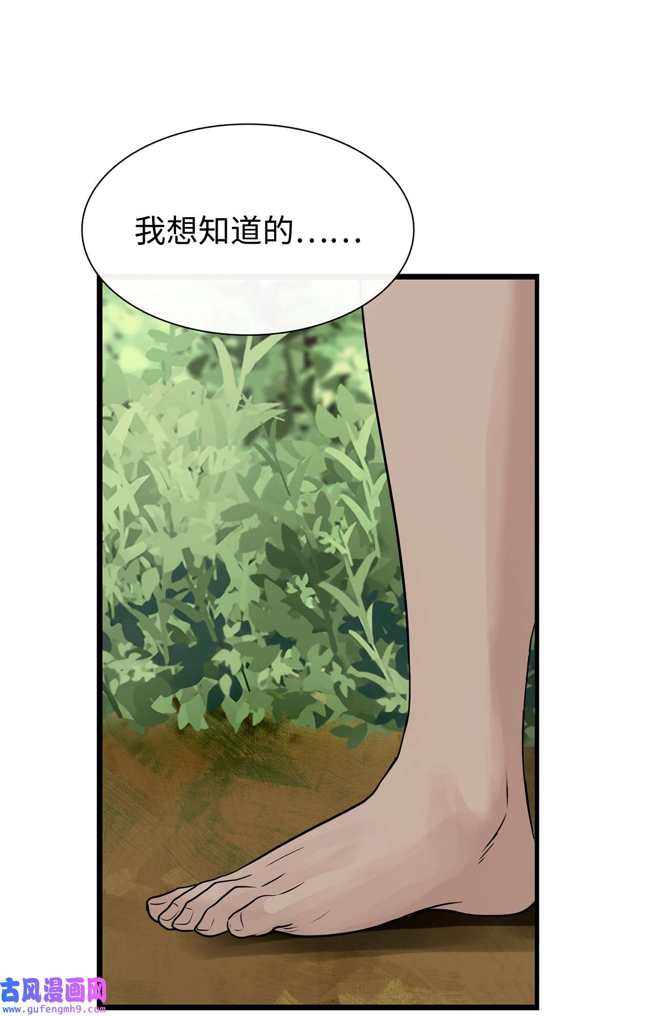 图腾领域38 代替我成为神