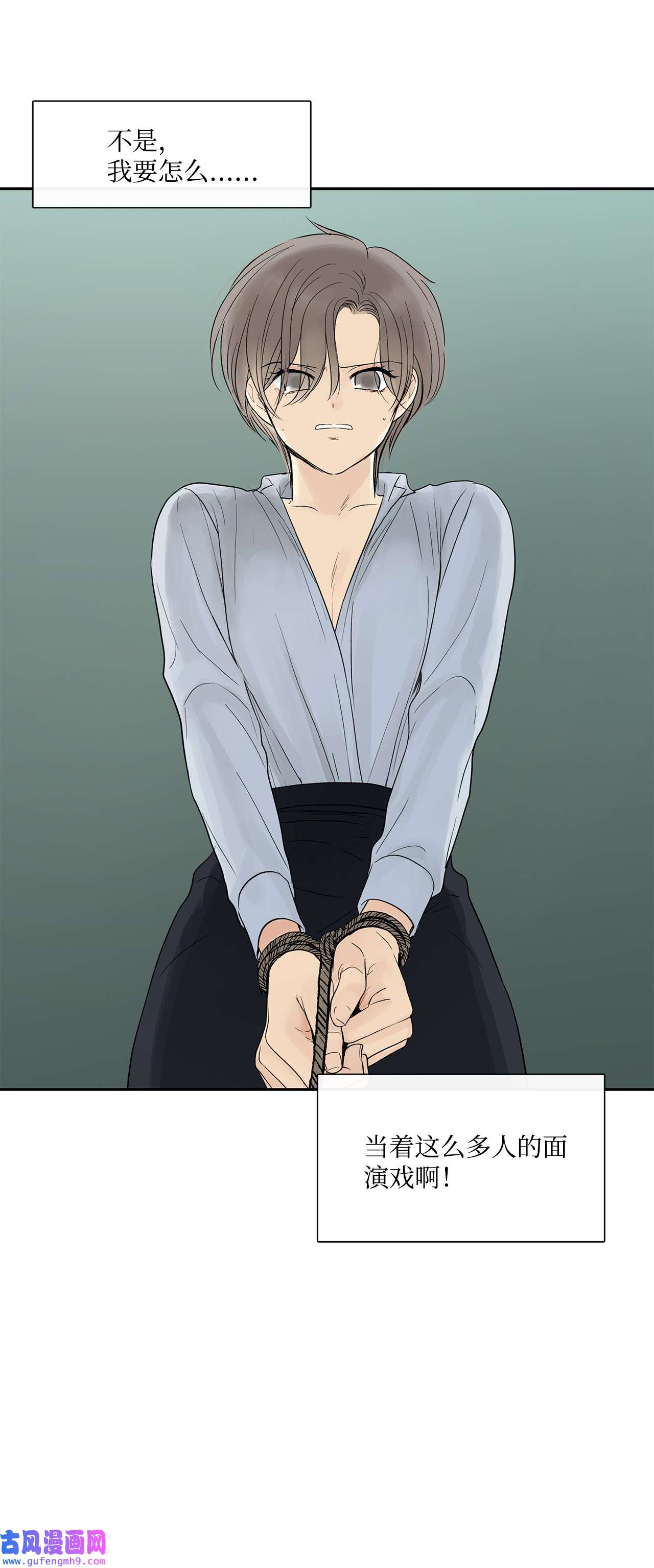 图腾领域39 演戏