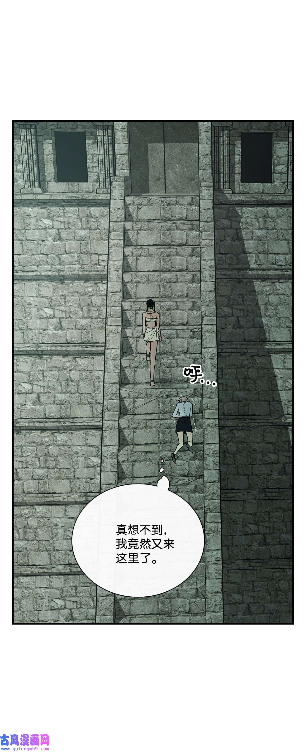 图腾领域39 演戏