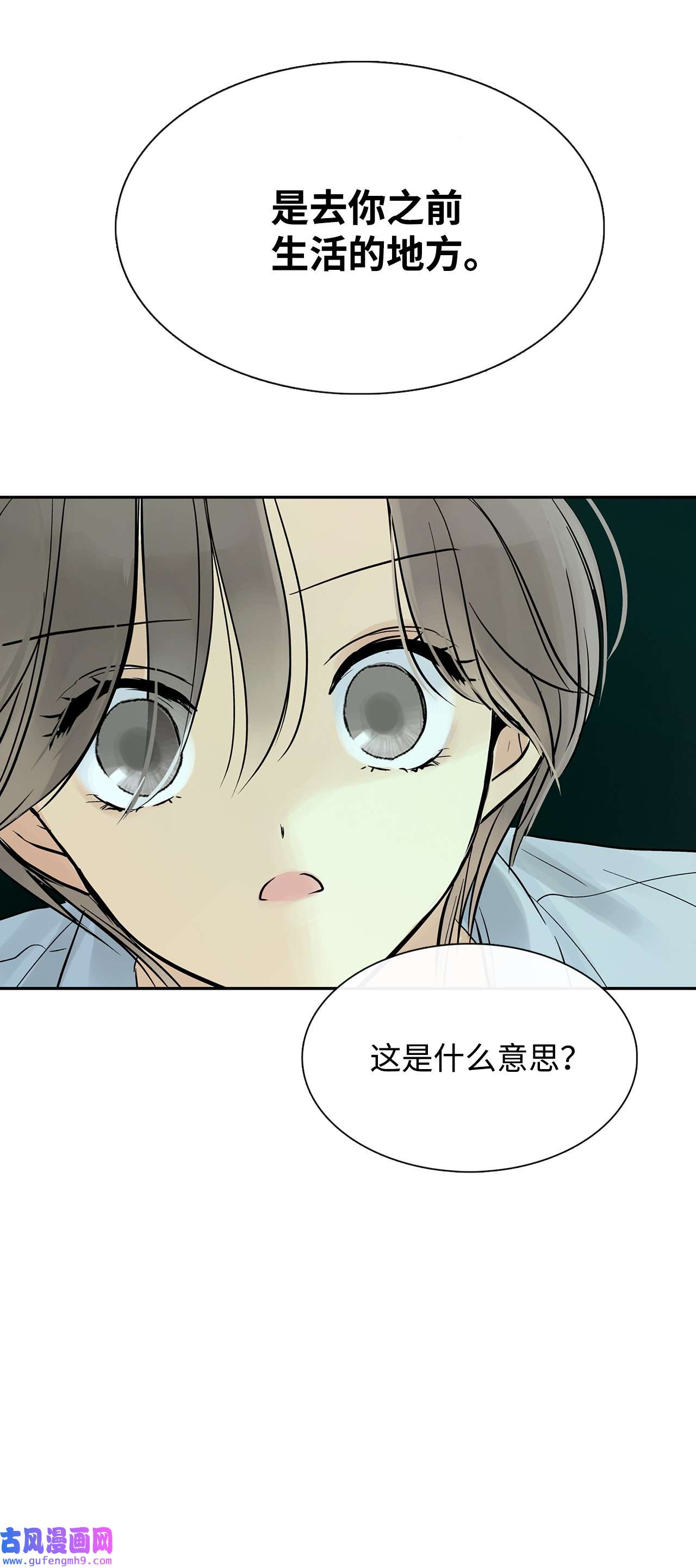 图腾领域39 演戏