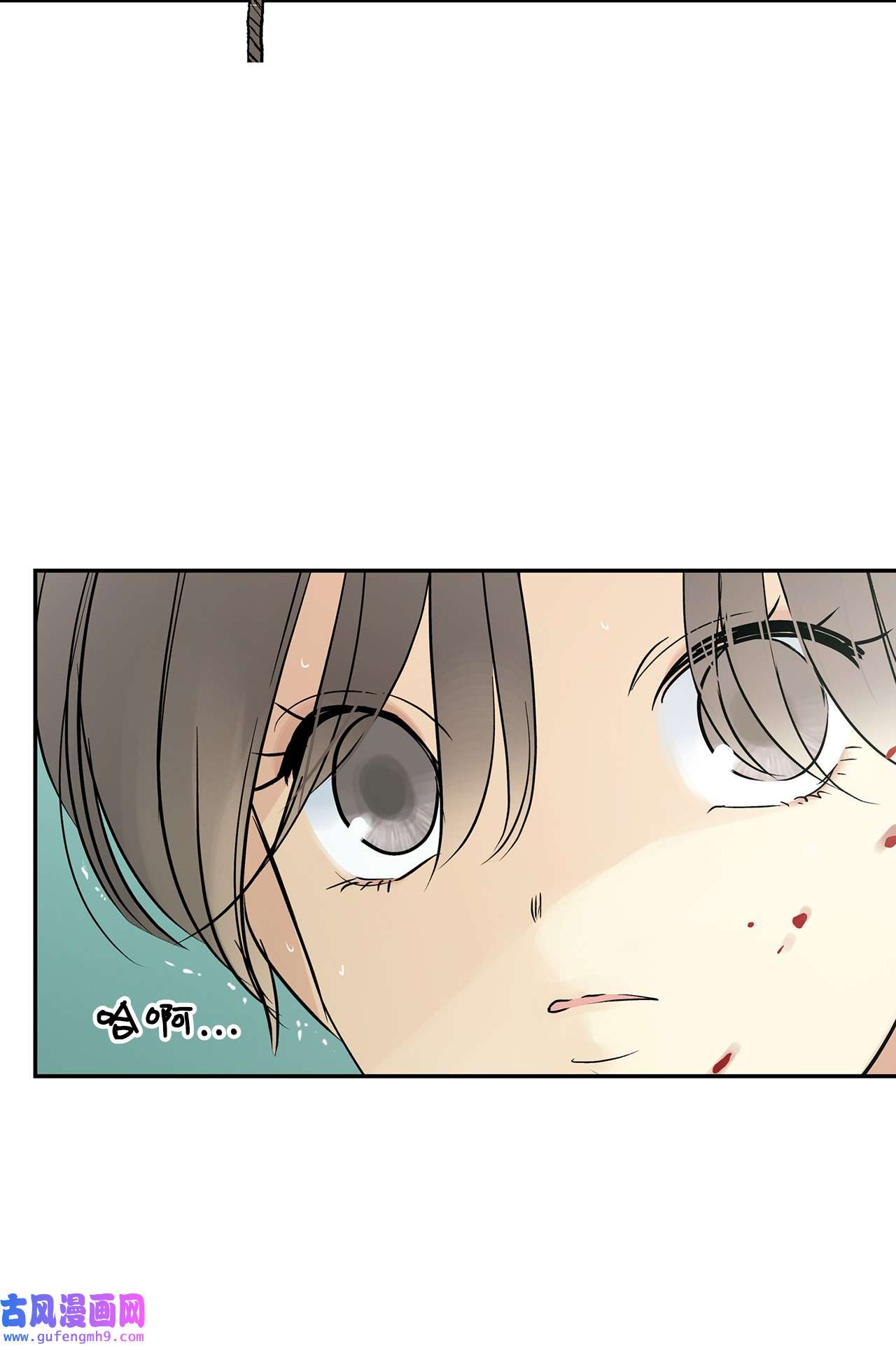 图腾领域40 如果能早一点明白