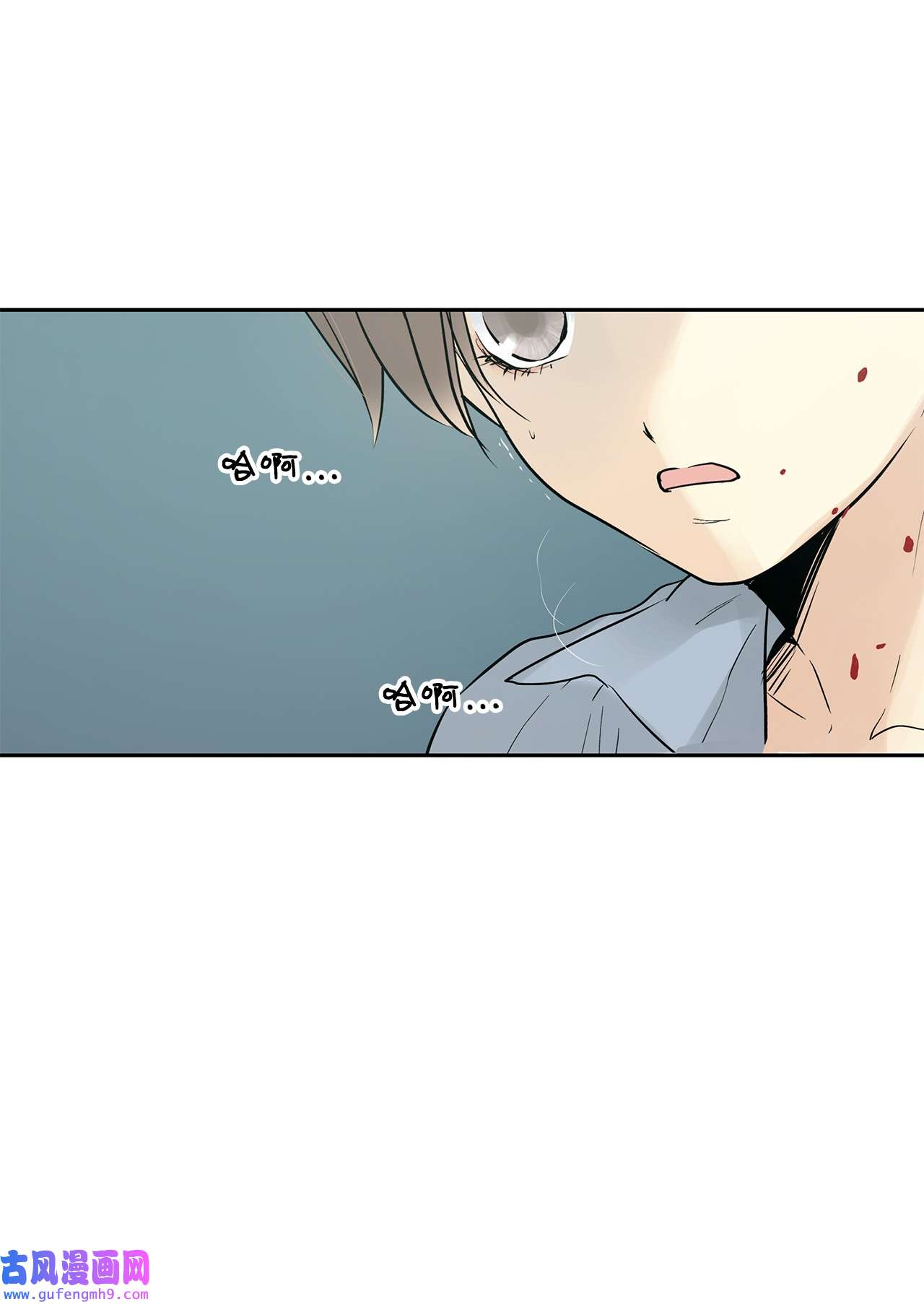 图腾领域40 如果能早一点明白