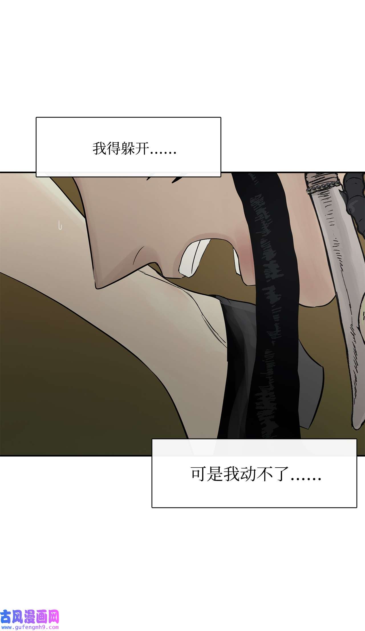 图腾领域40 如果能早一点明白