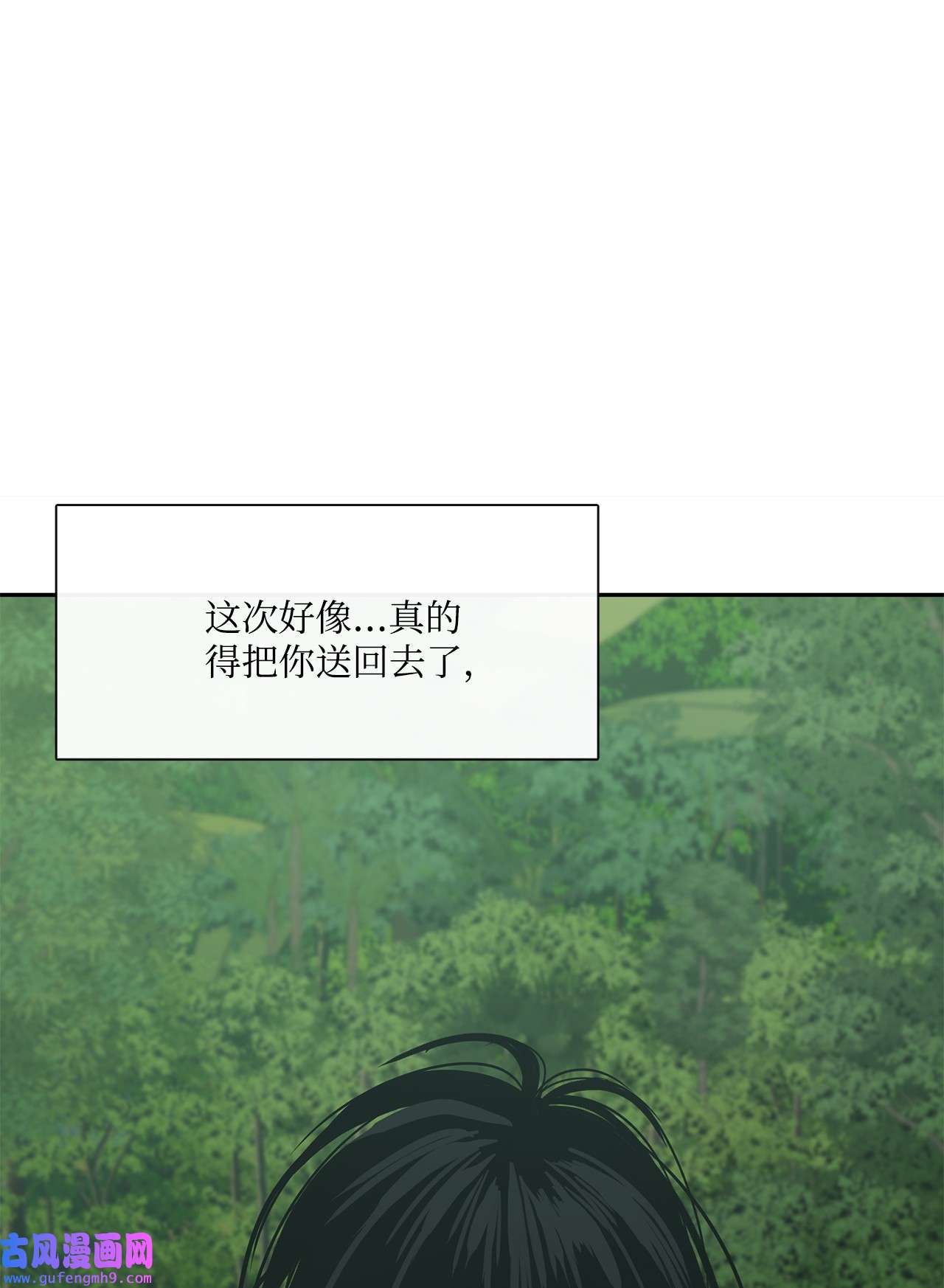 图腾领域40 如果能早一点明白