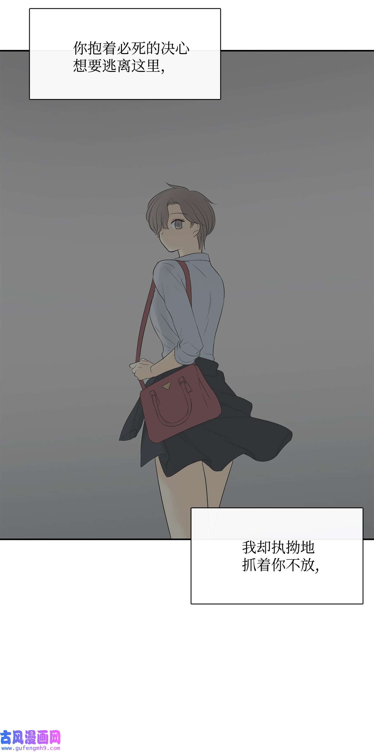 图腾领域40 如果能早一点明白