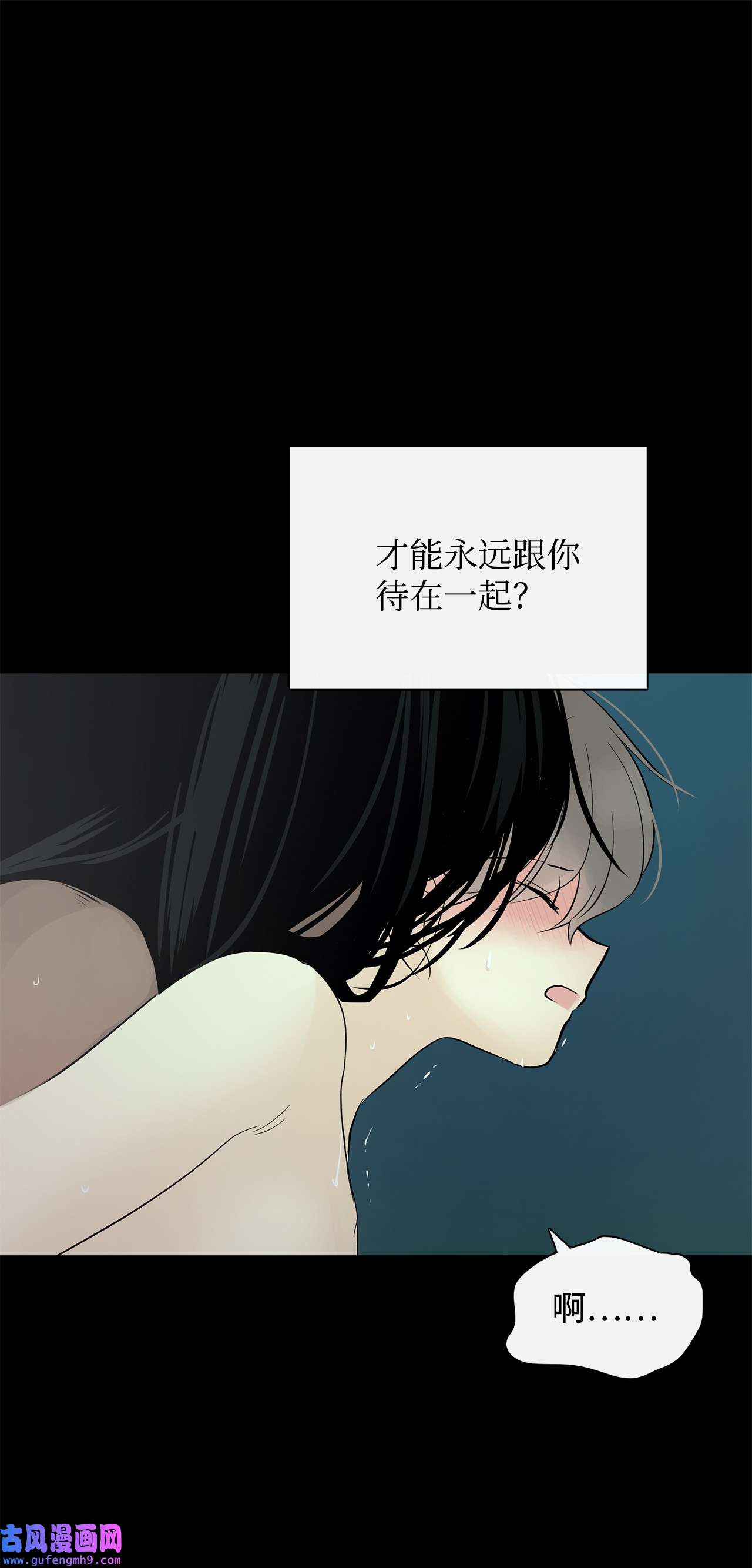 图腾领域41 这里让你感到孤独