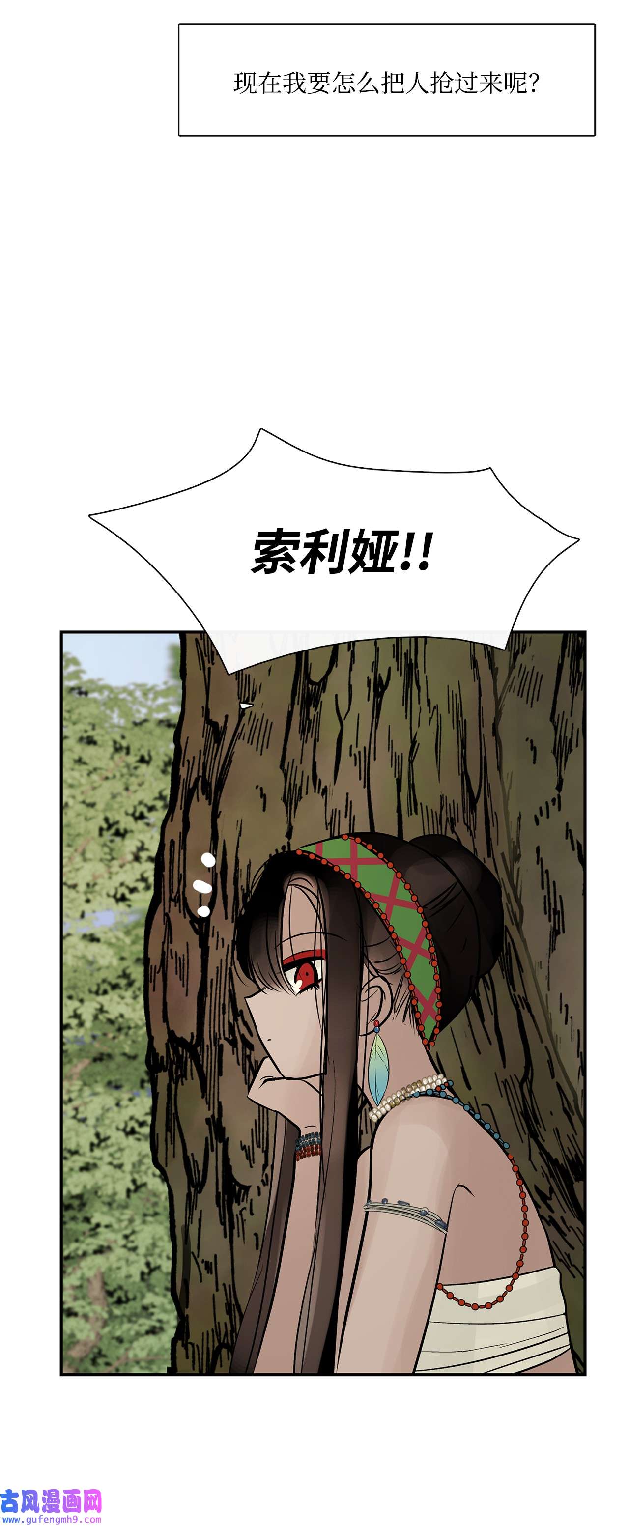 图腾领域41 这里让你感到孤独