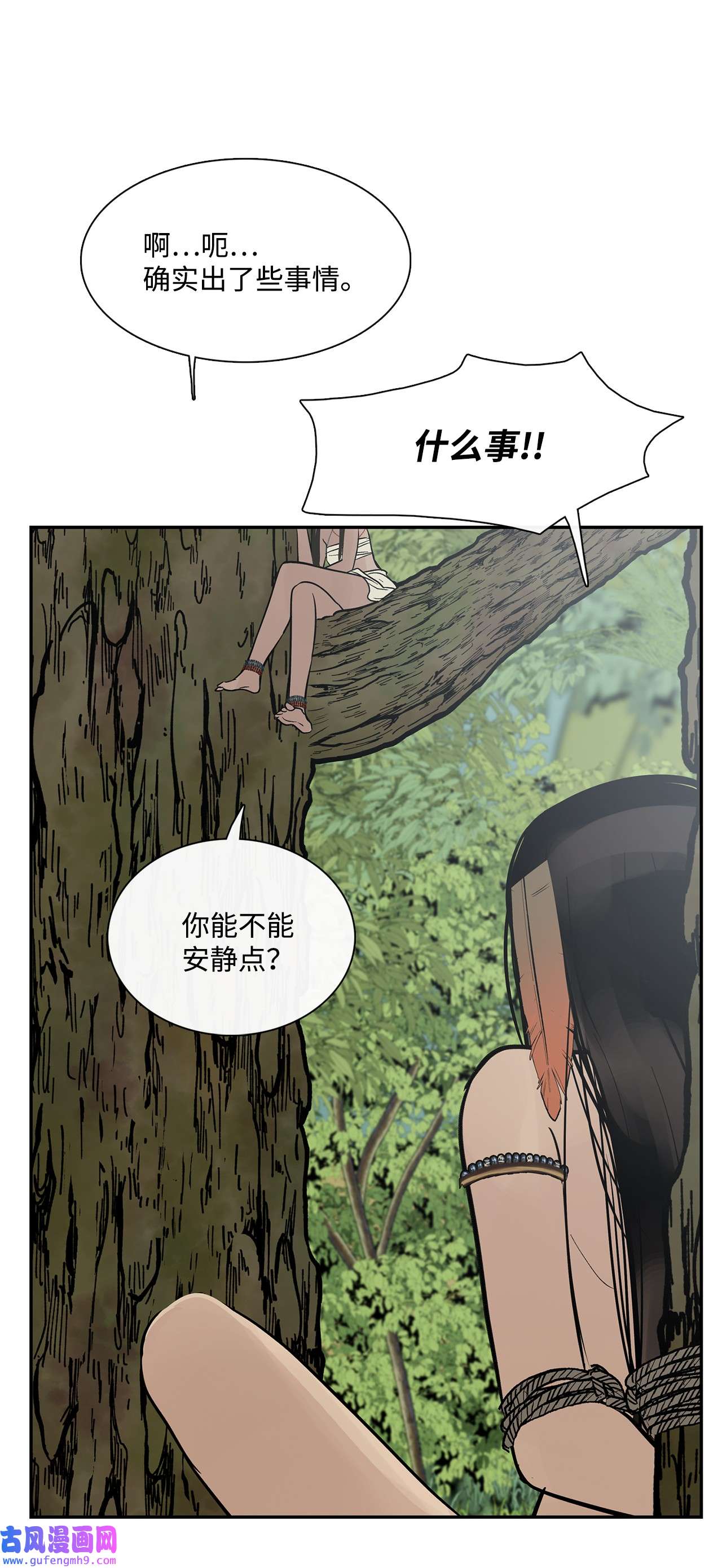 图腾领域41 这里让你感到孤独