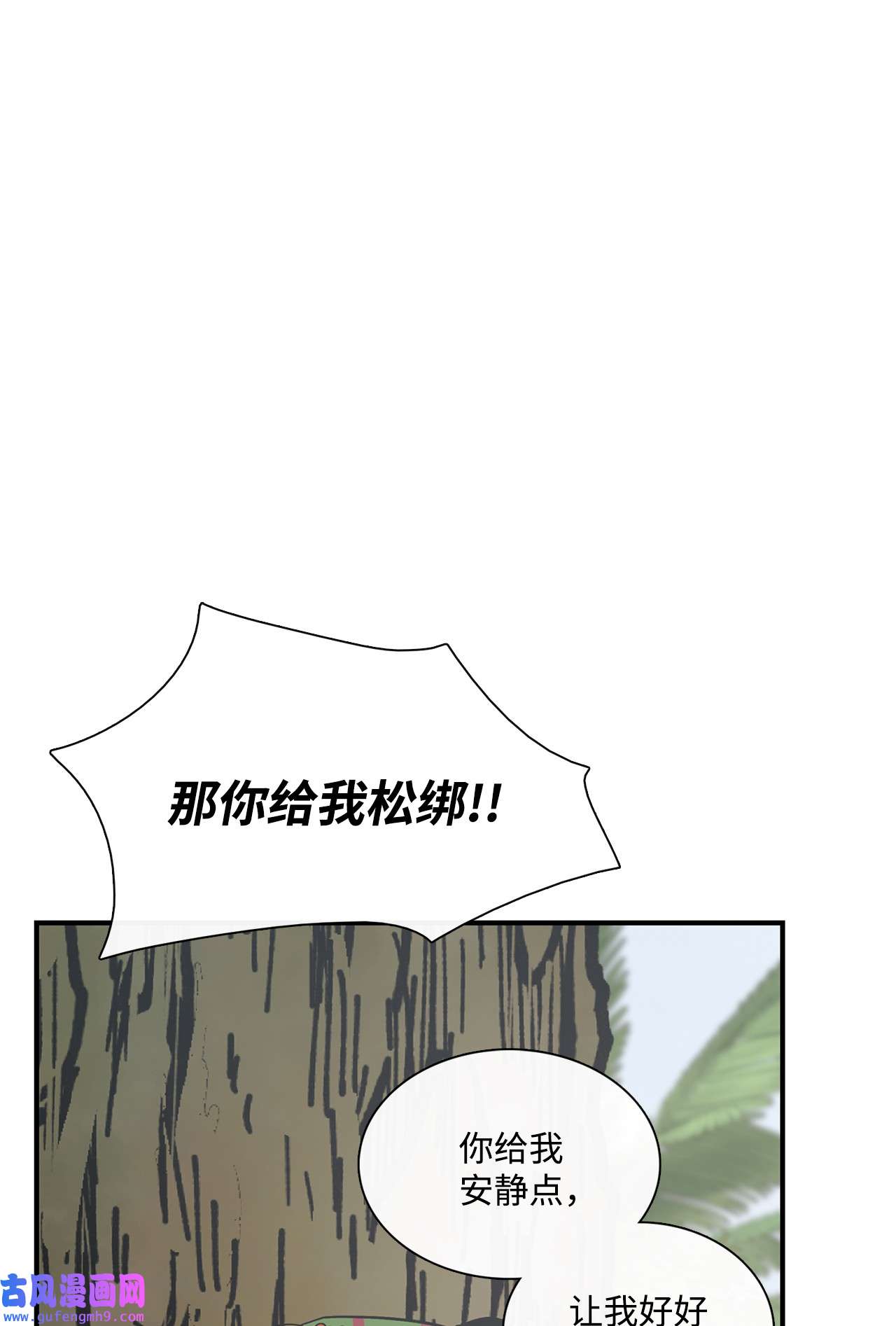 图腾领域41 这里让你感到孤独