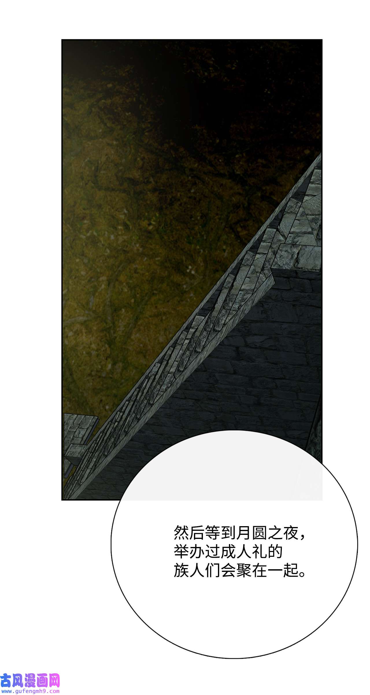 图腾领域42 营救