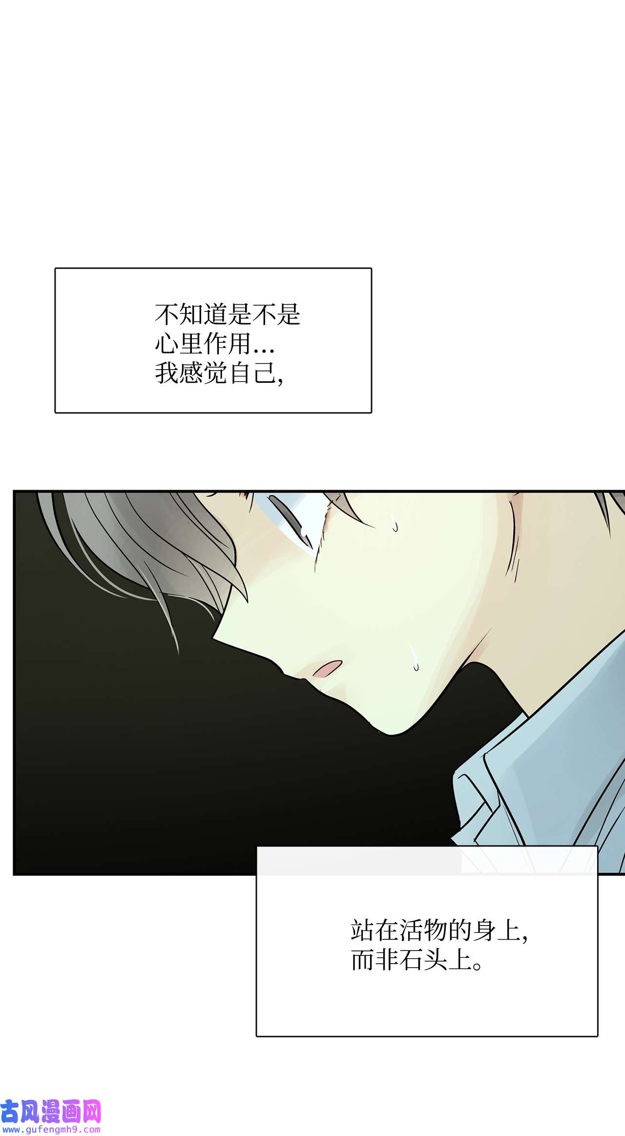 图腾领域43 射箭