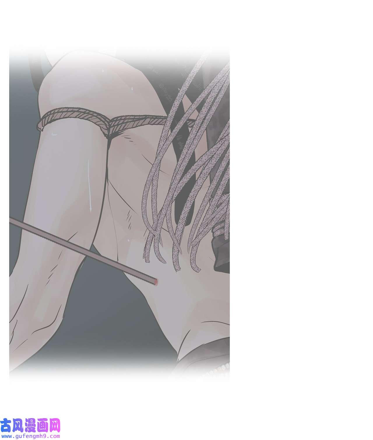 图腾领域43 射箭