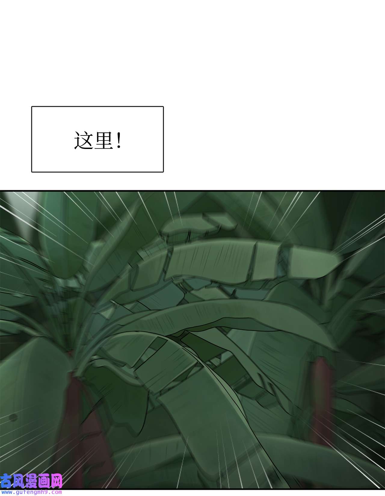 图腾领域46 条件