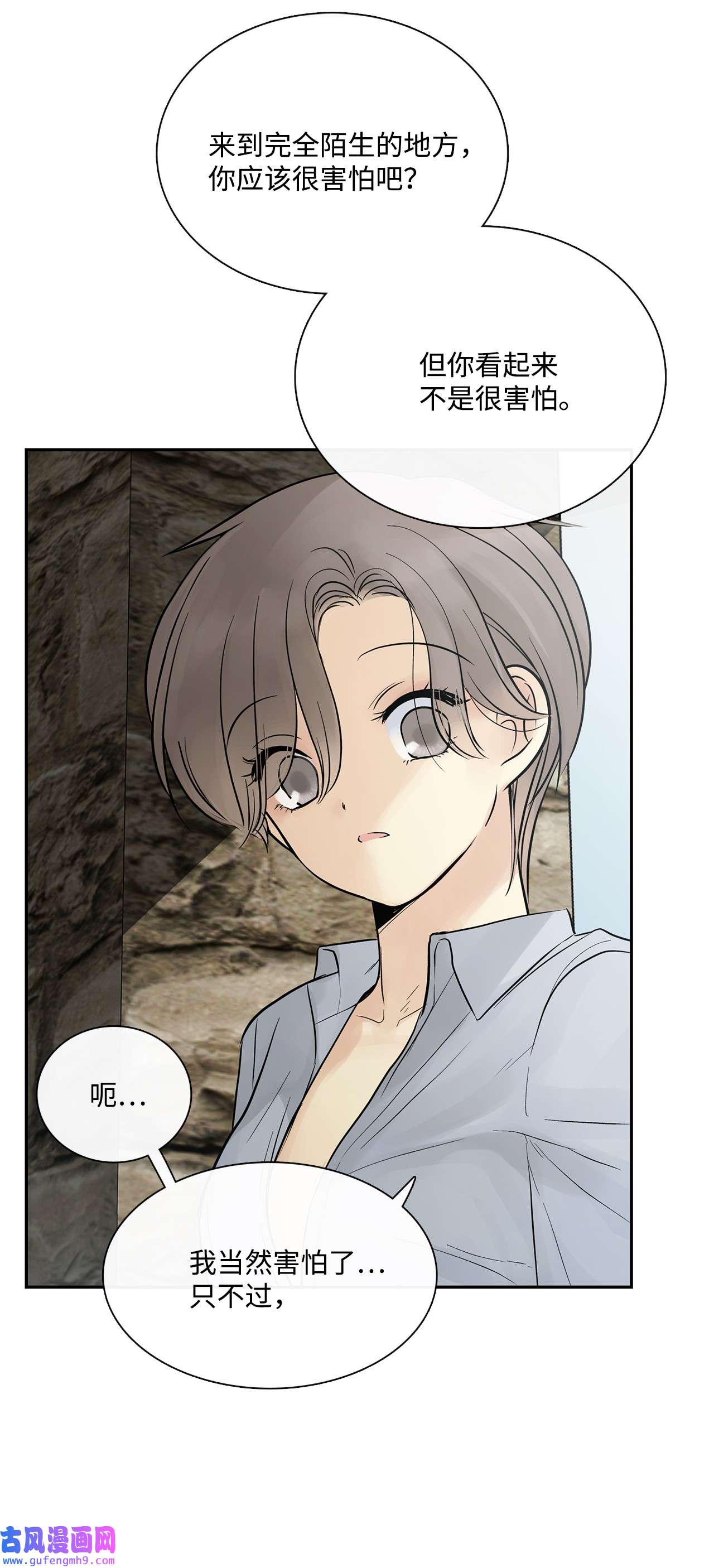 图腾领域47 虎穴