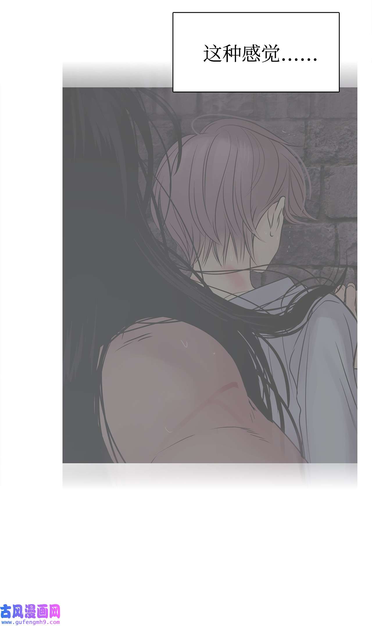 图腾领域48 出来吧