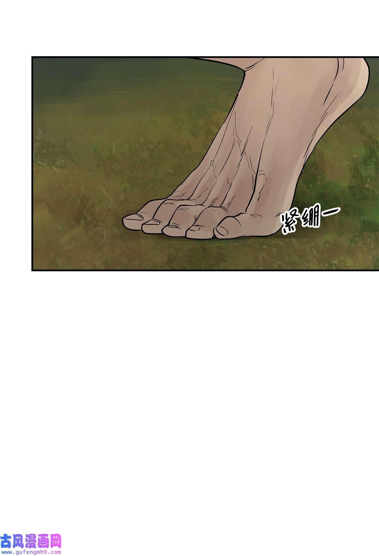 图腾领域48 出来吧