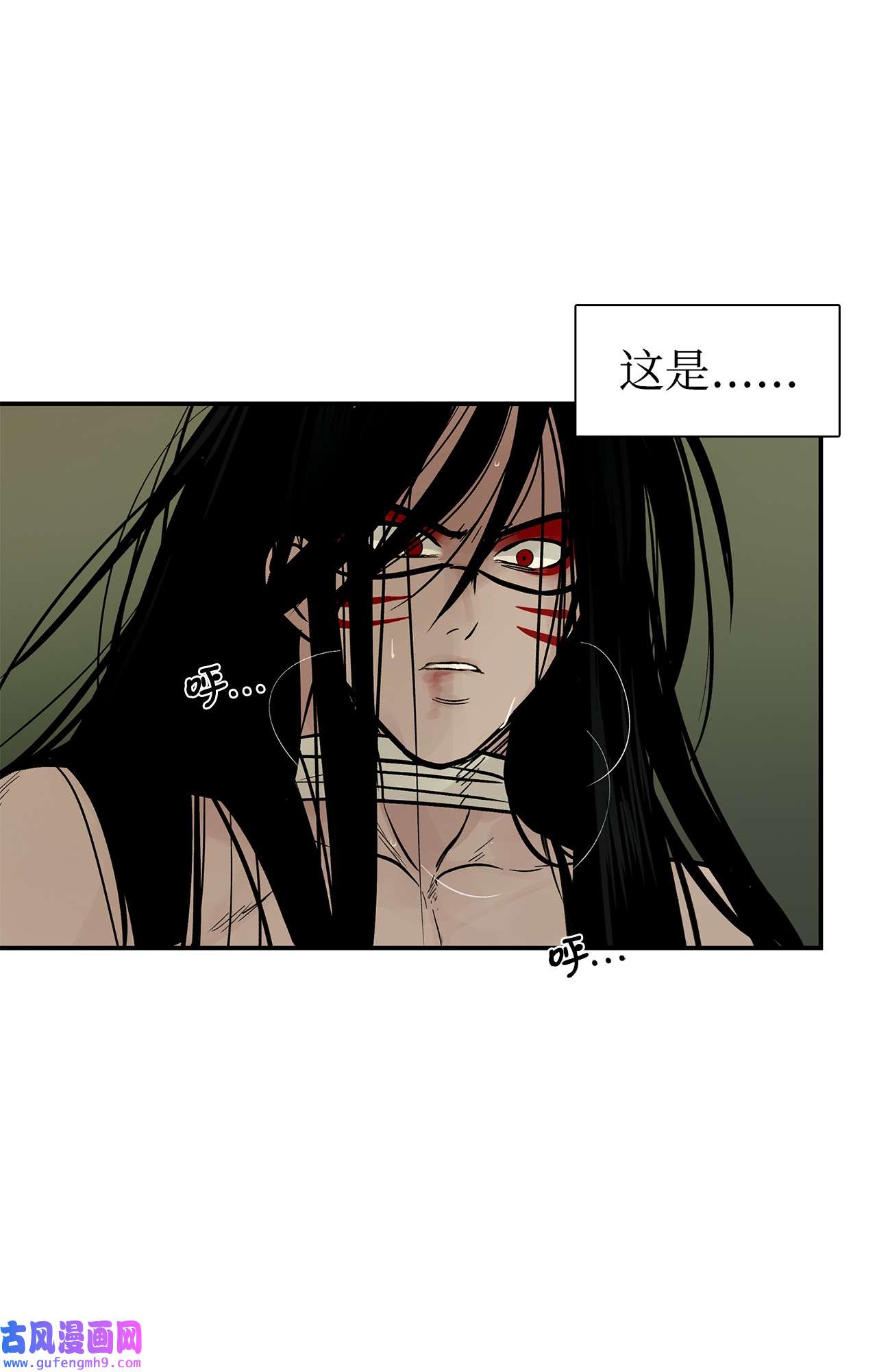 图腾领域48 出来吧