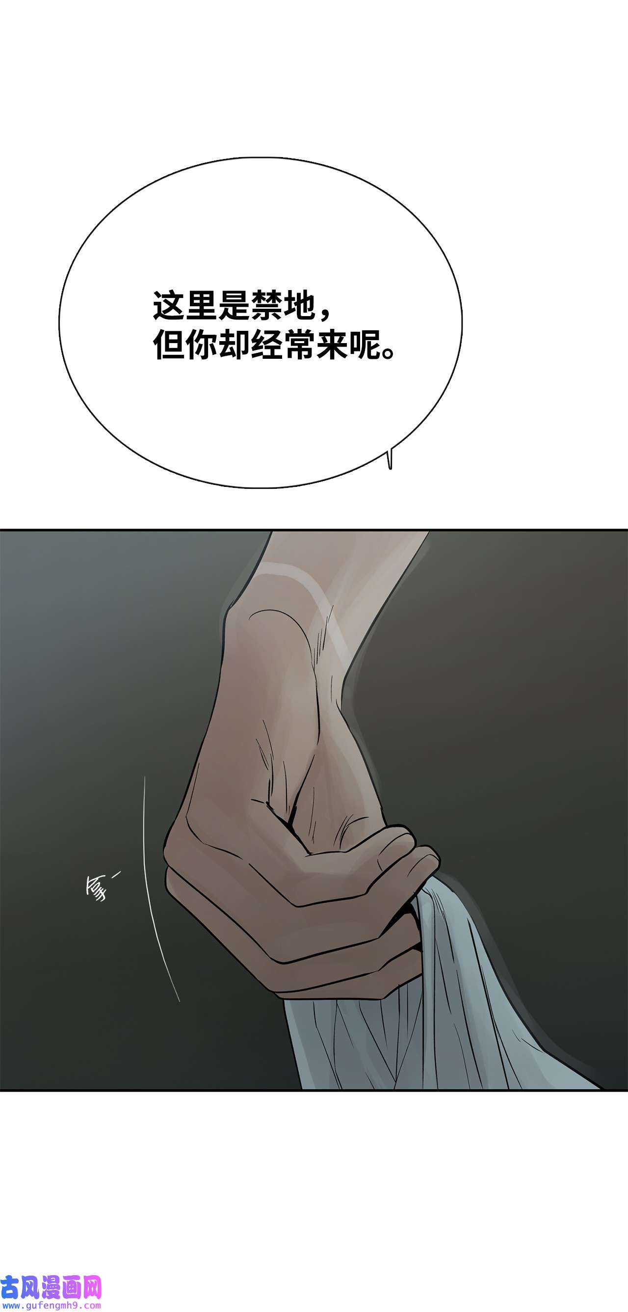 图腾领域48 出来吧