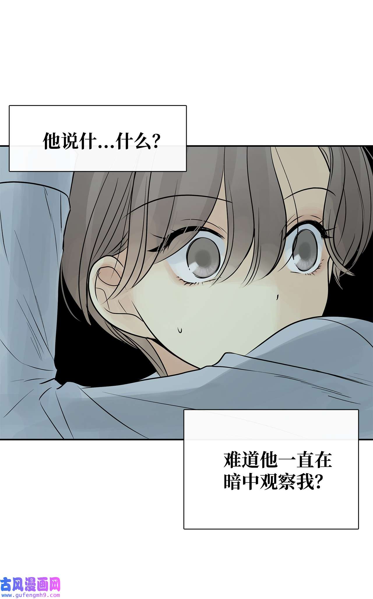 图腾领域49 野后伊