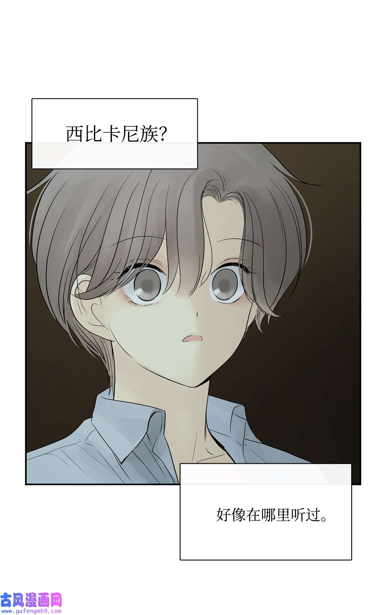 图腾领域49 野后伊