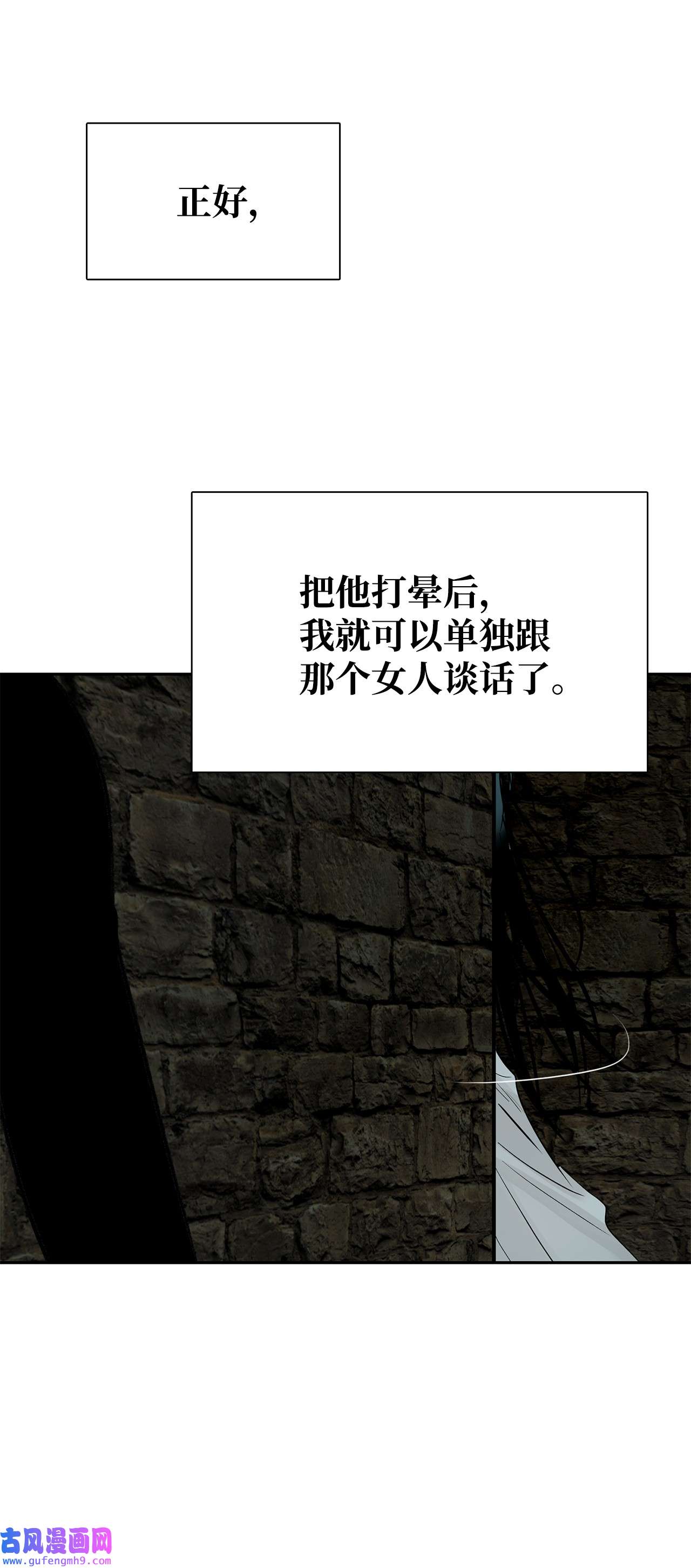 图腾领域49 野后伊